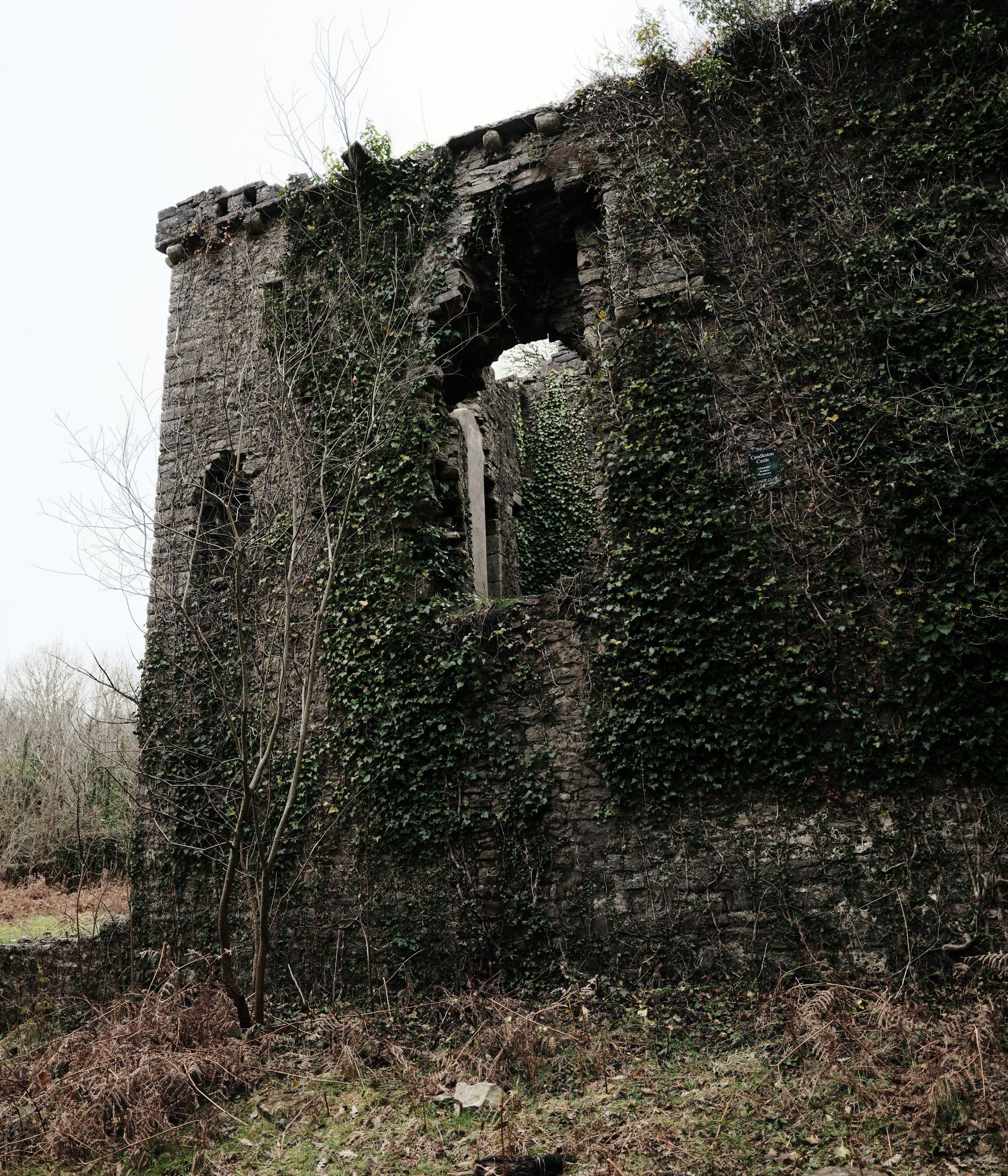 Photo by tanyabarrow