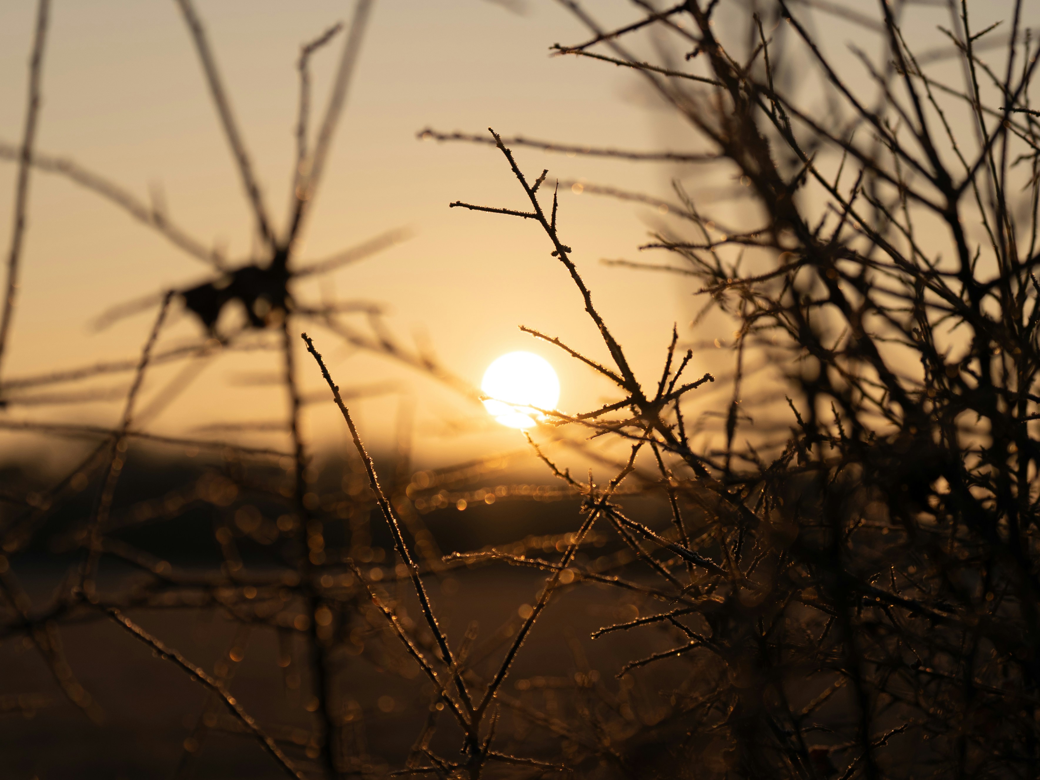 Photo by bangscreative