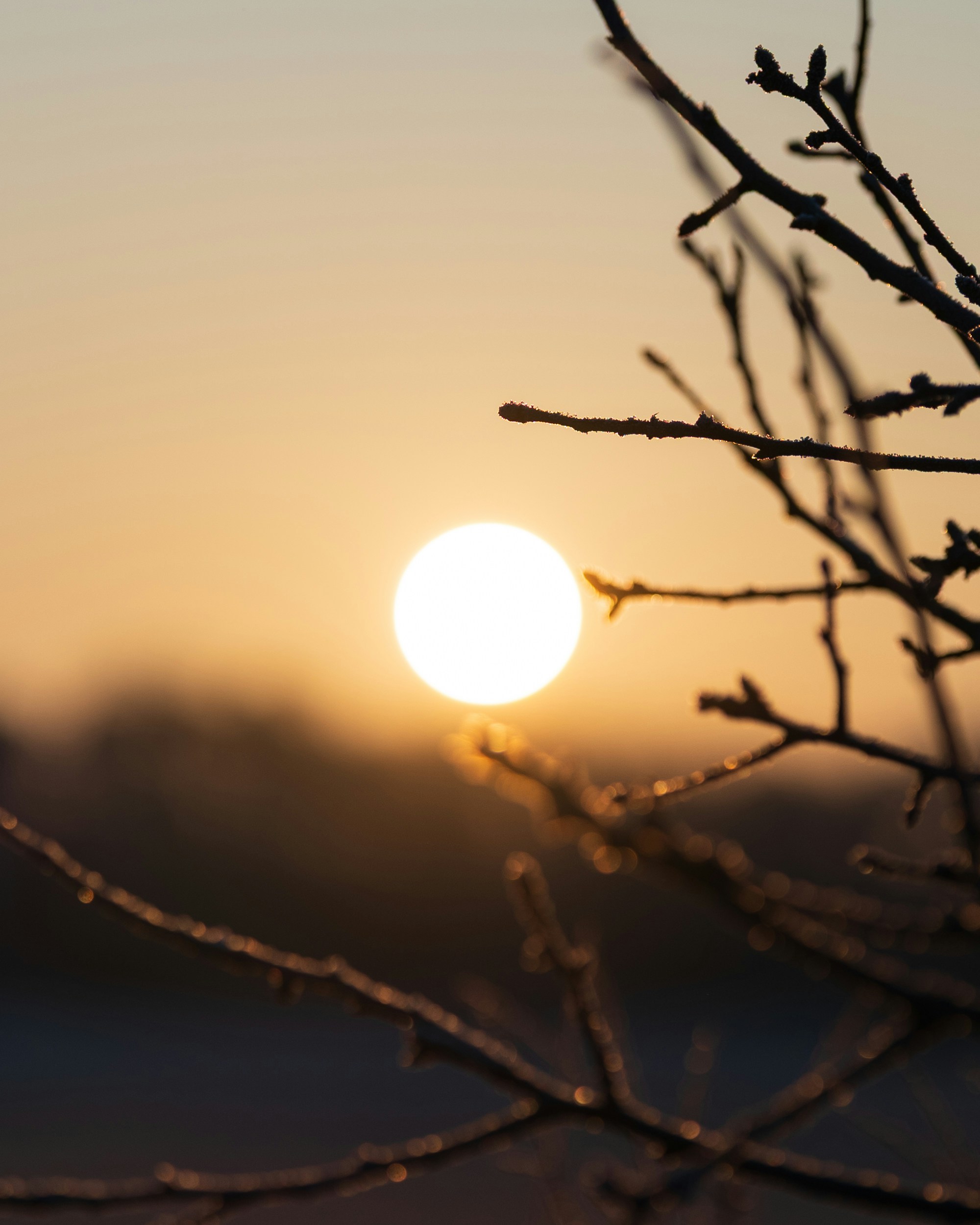 Photo by bangscreative