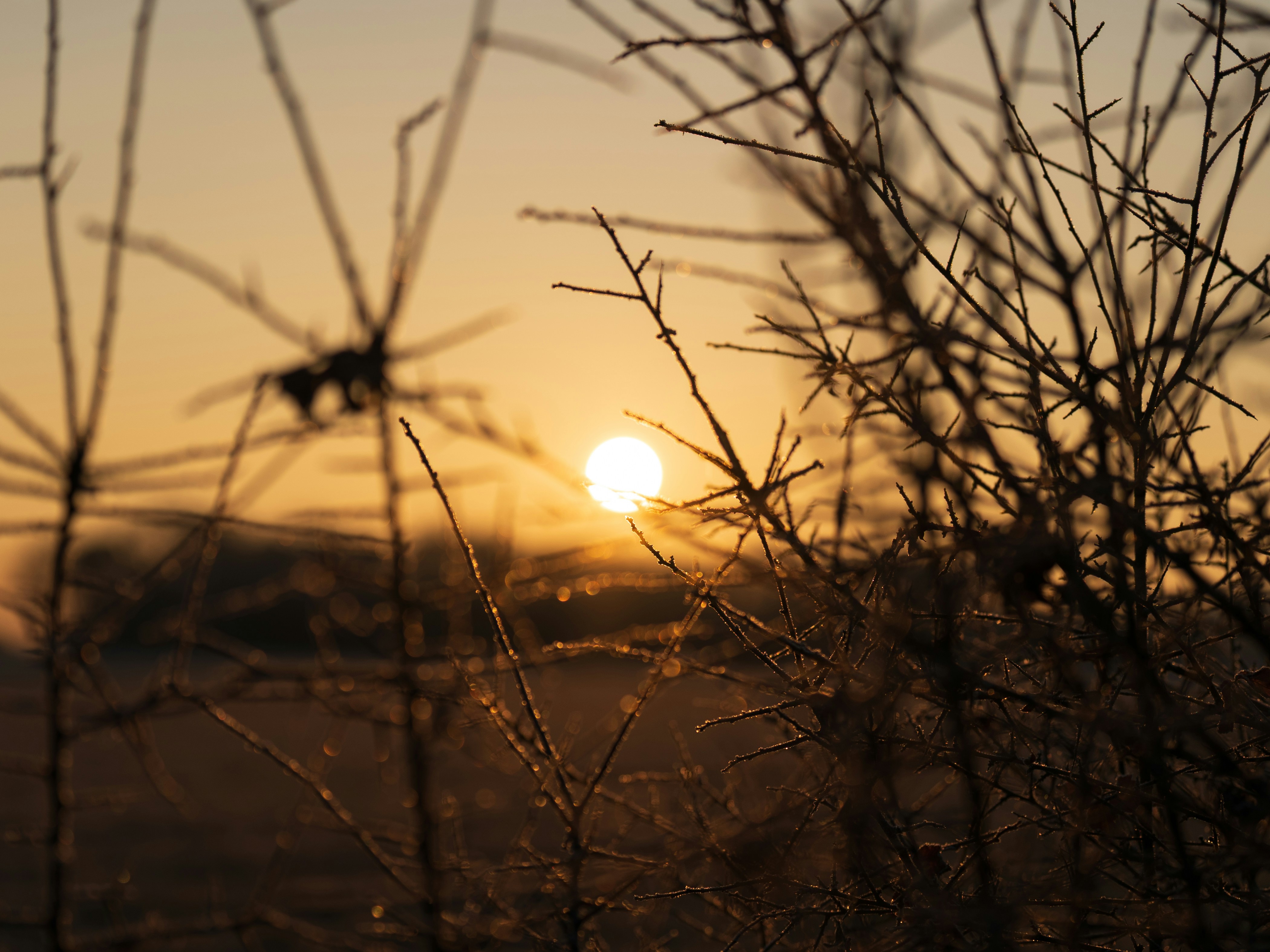 Photo by bangscreative