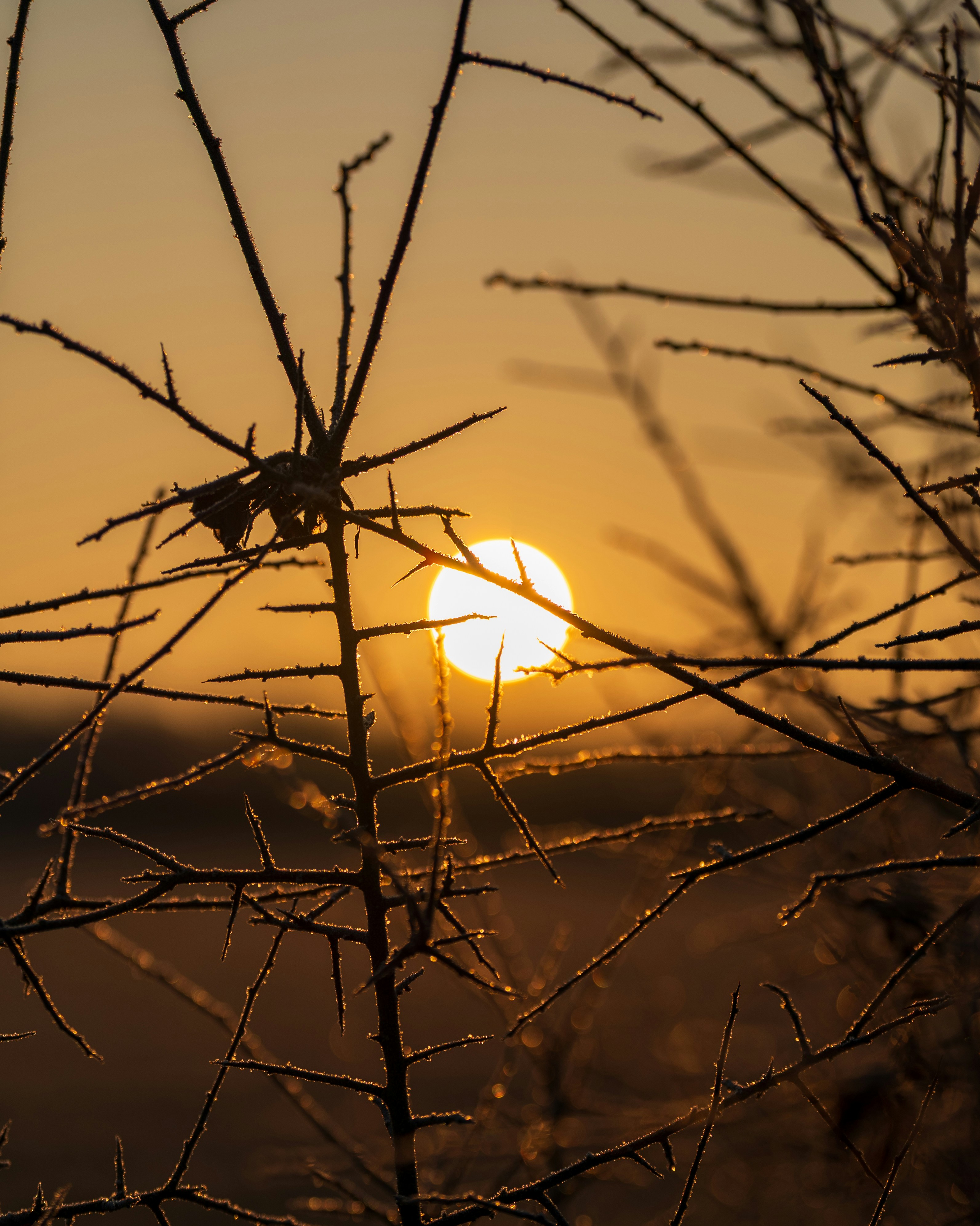 Photo by bangscreative