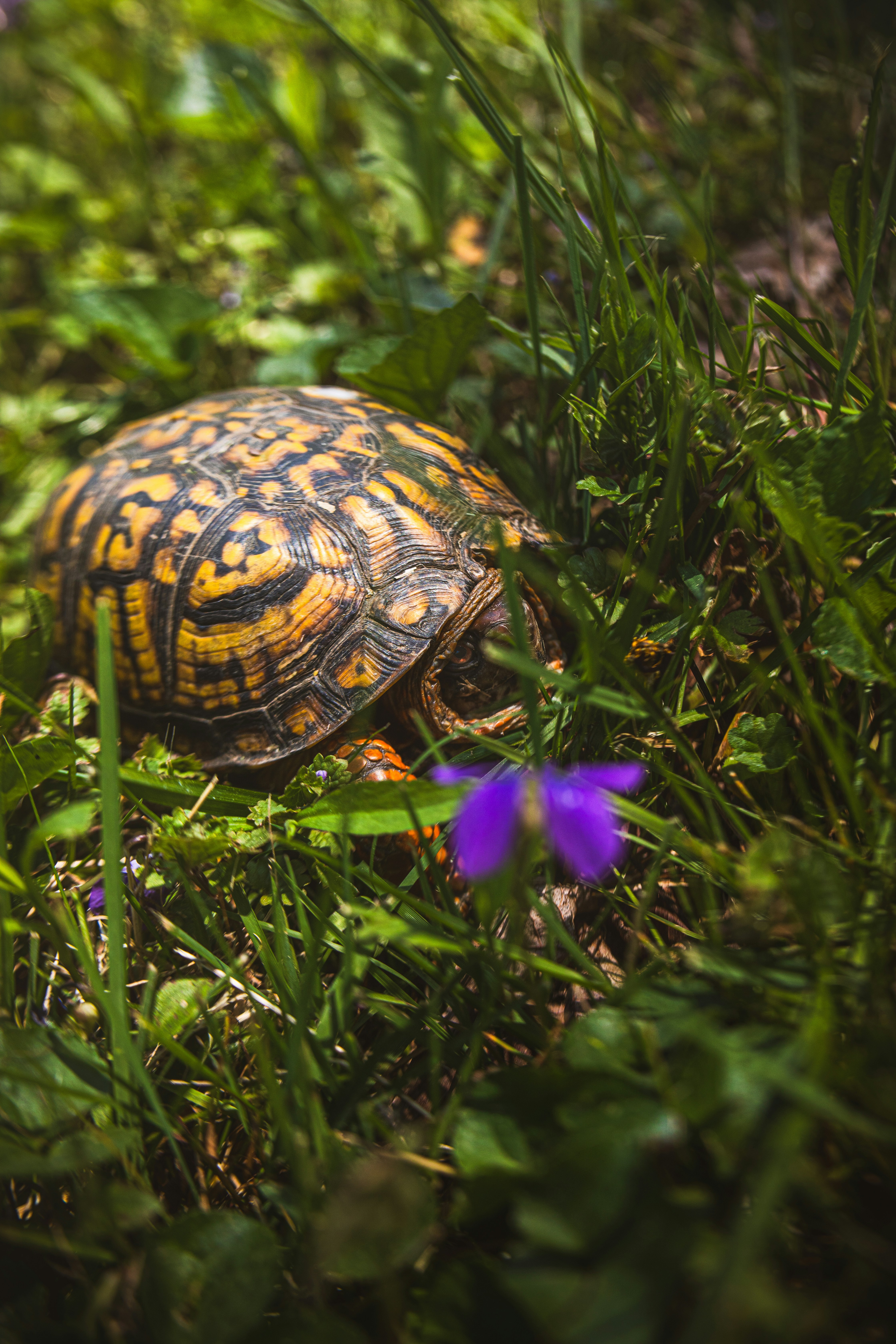 Photo by katneutrality