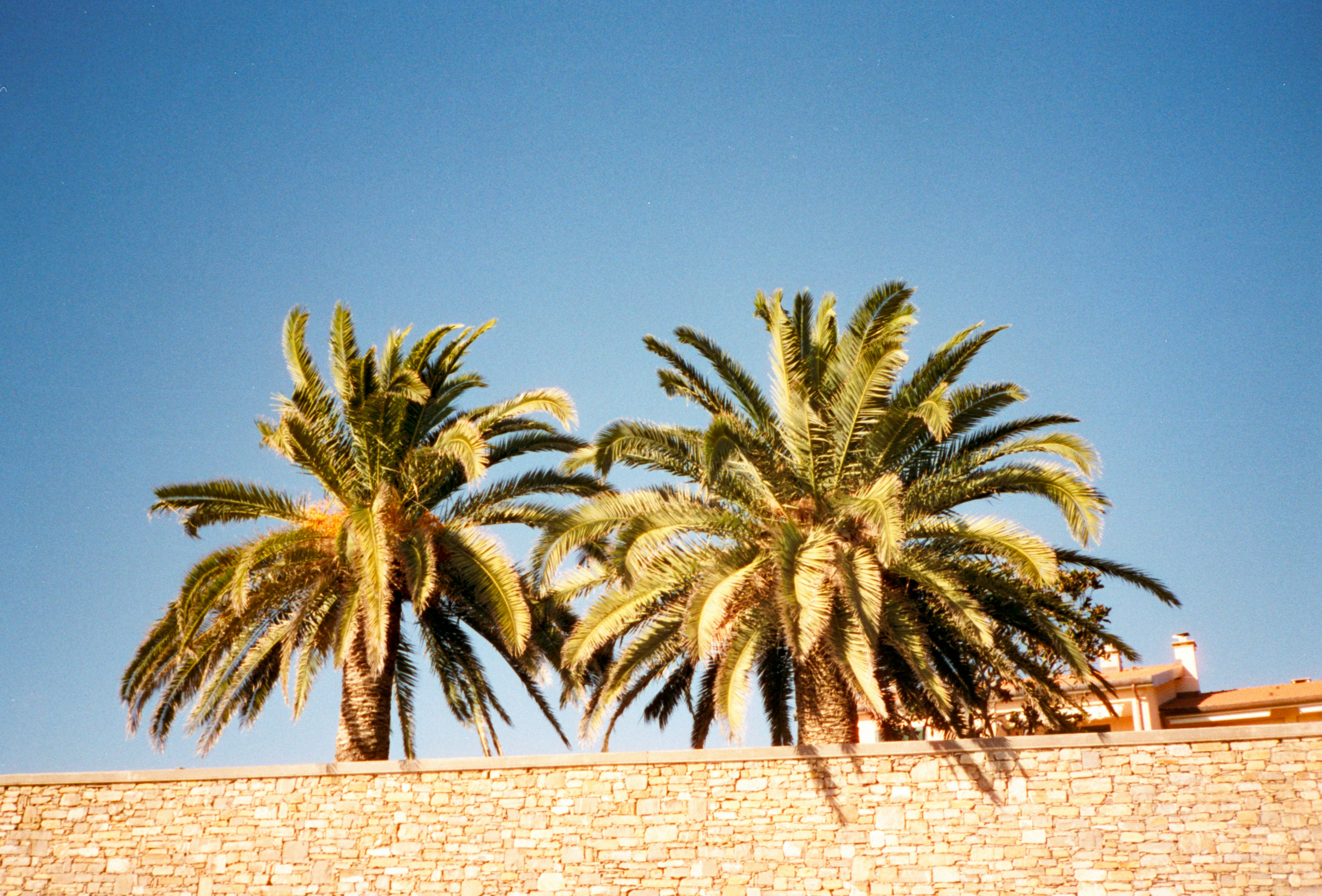 Photo by chrisvomradio