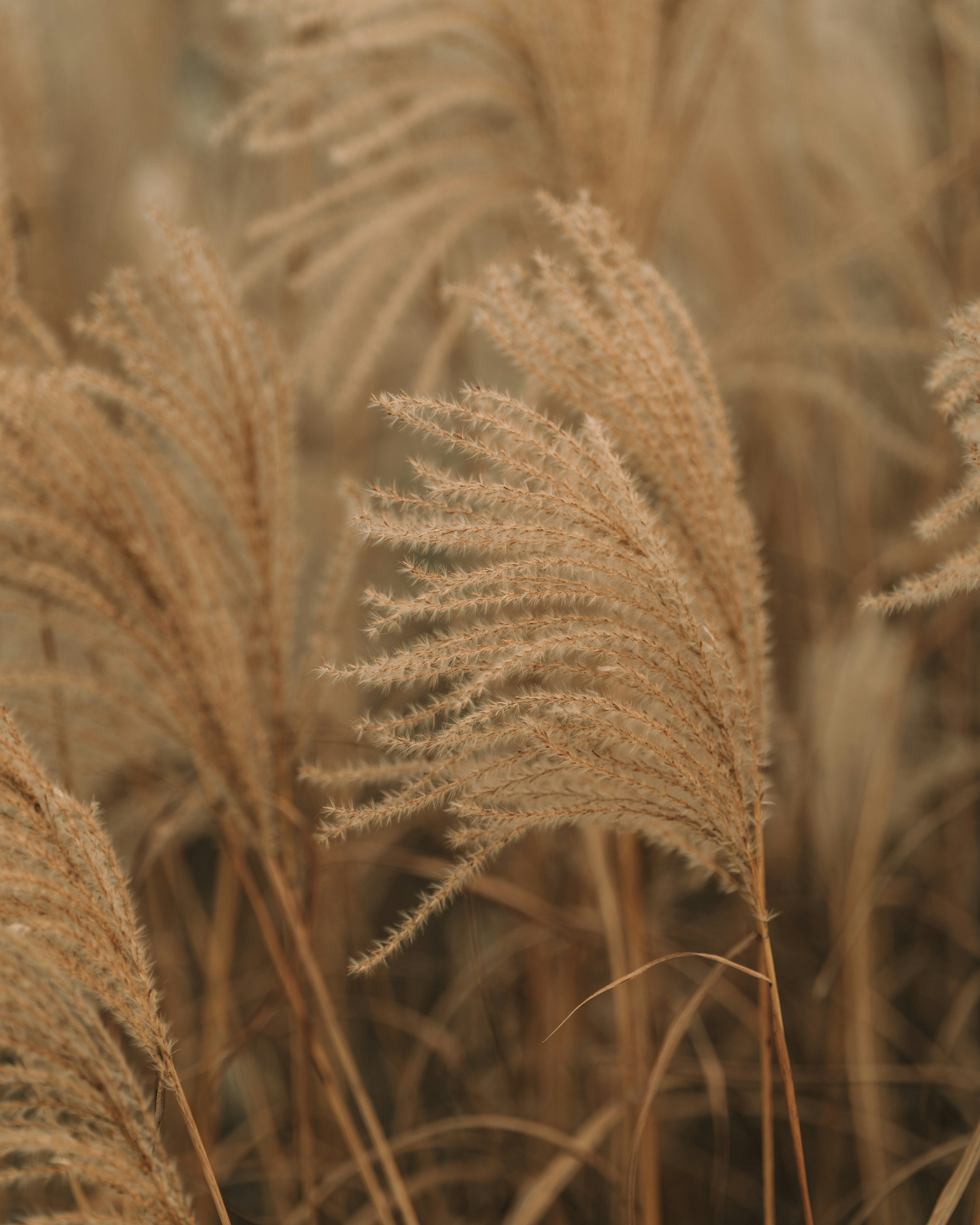 Photo by bangscreative