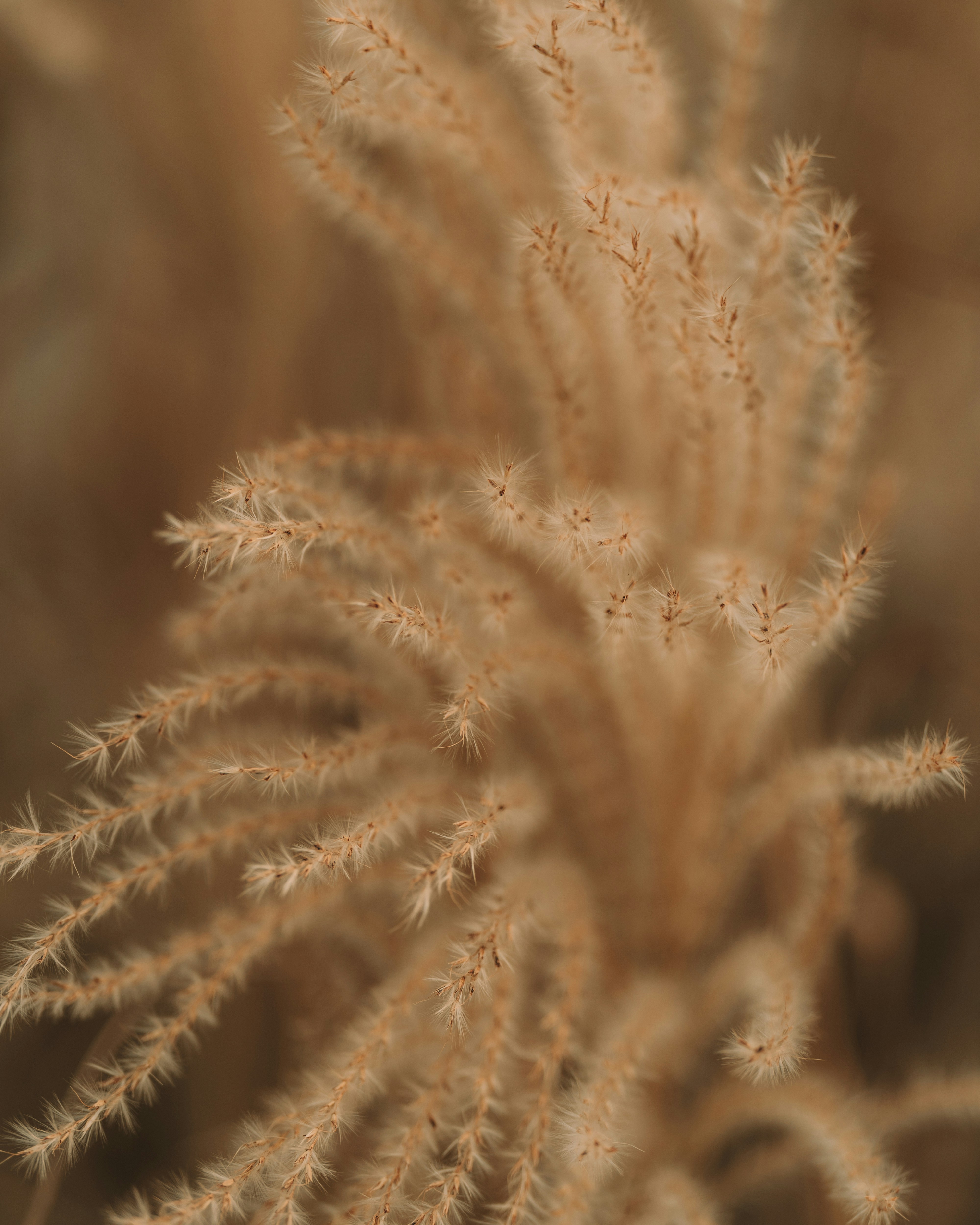 Photo by bangscreative