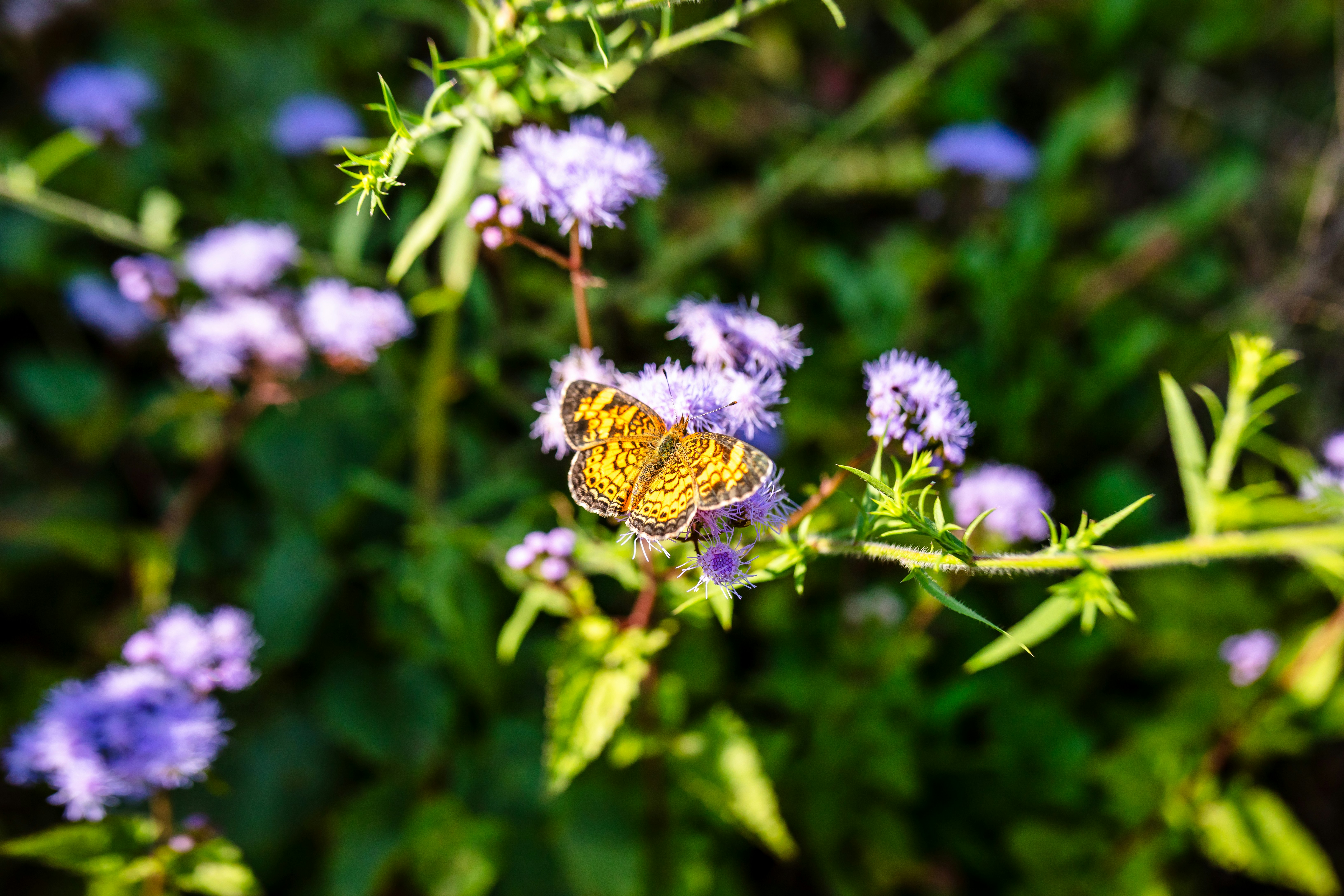 Photo by katneutrality