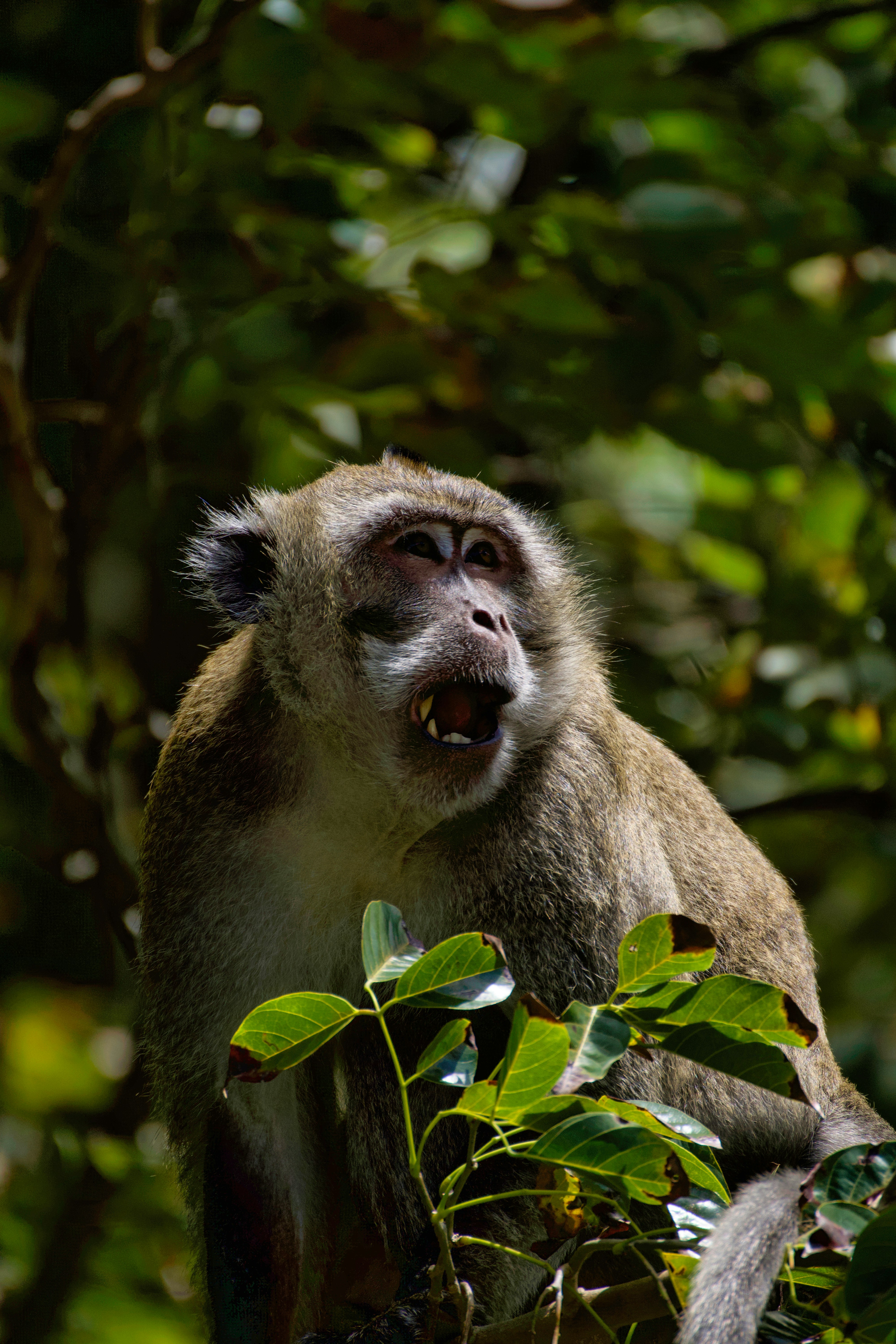 Photo by marcel_z0211