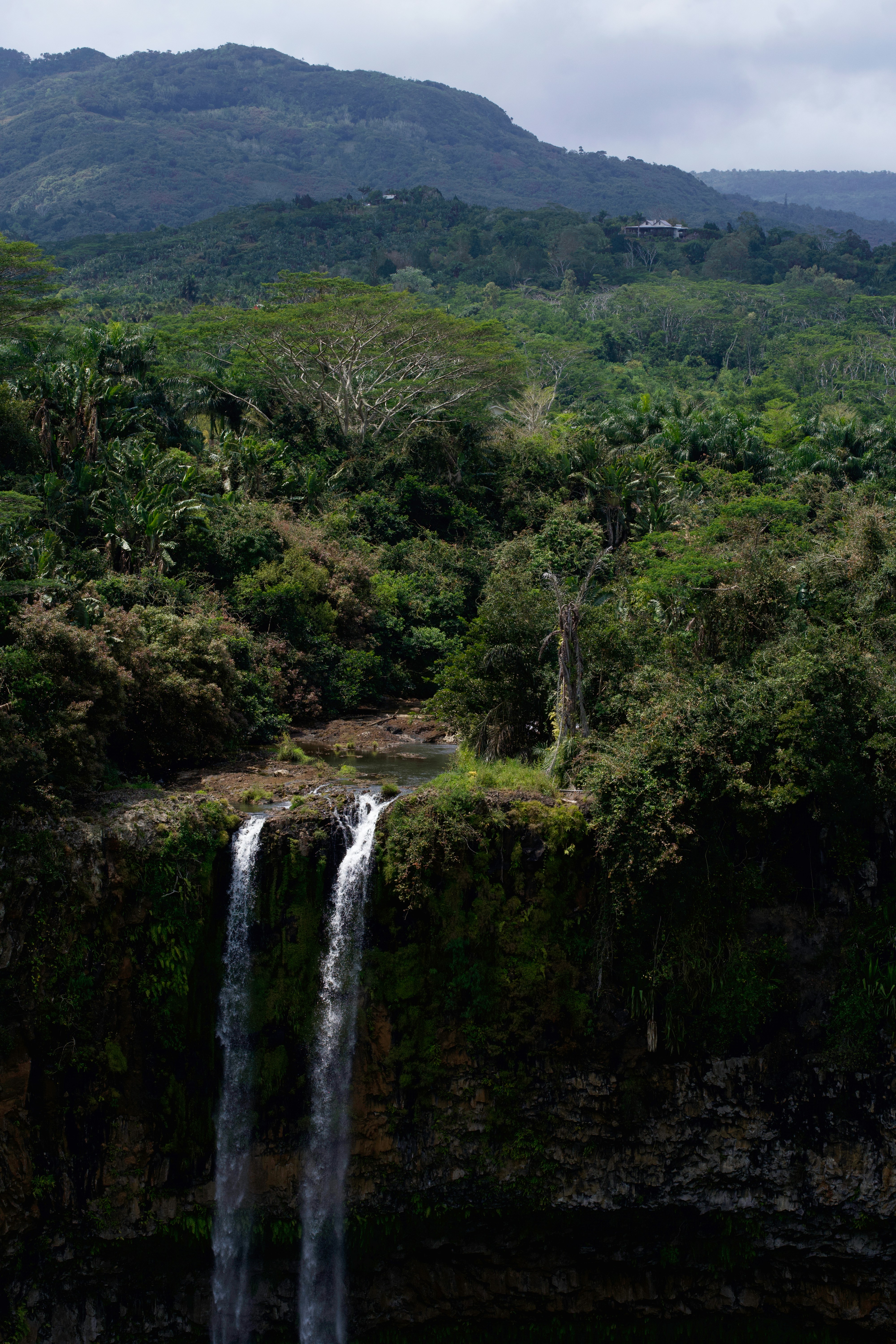 Photo by marcel_z0211