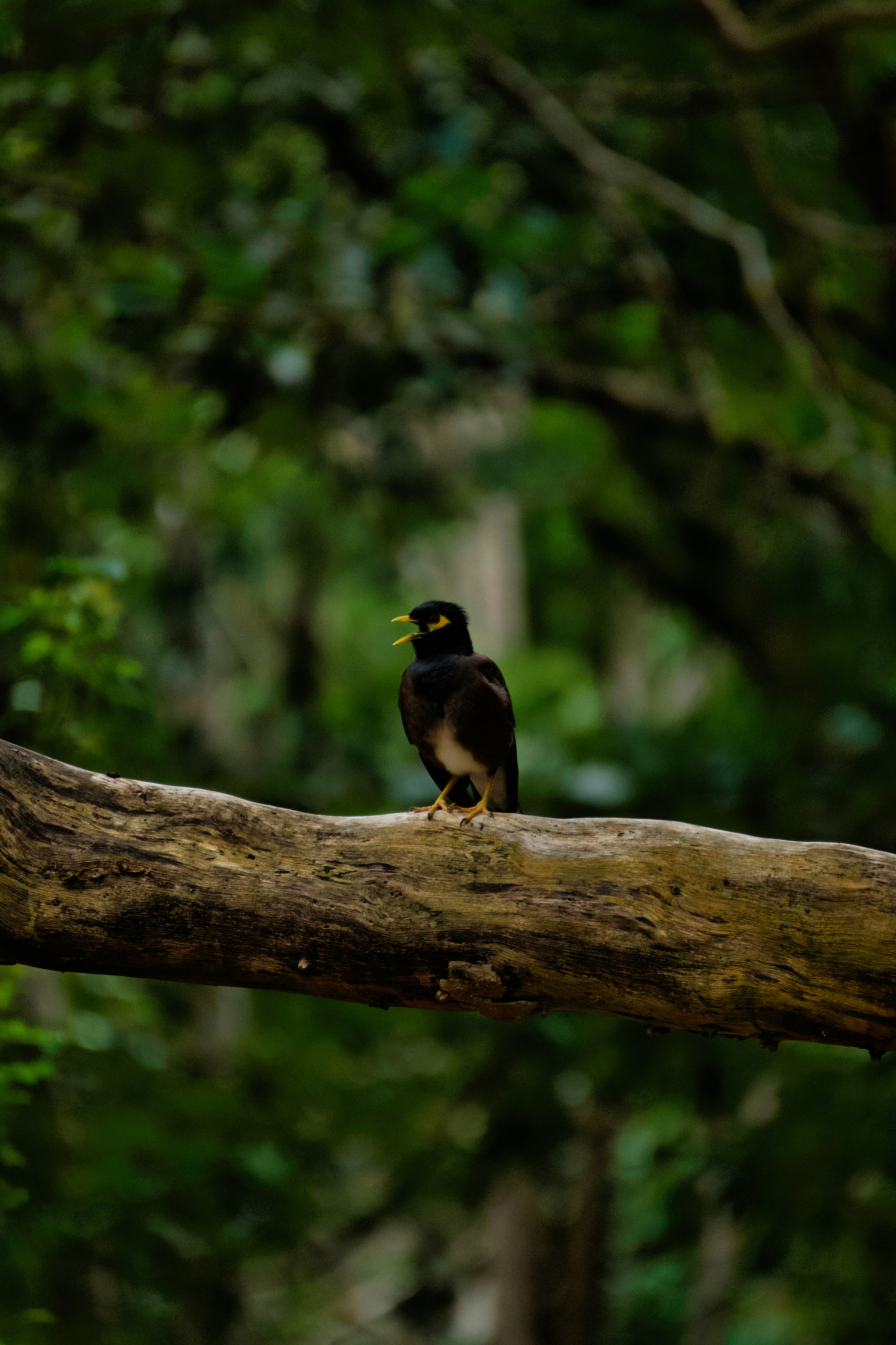 Photo by marcel_z0211