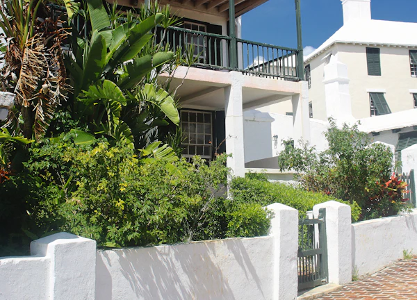 White stucco house with lush green foliage