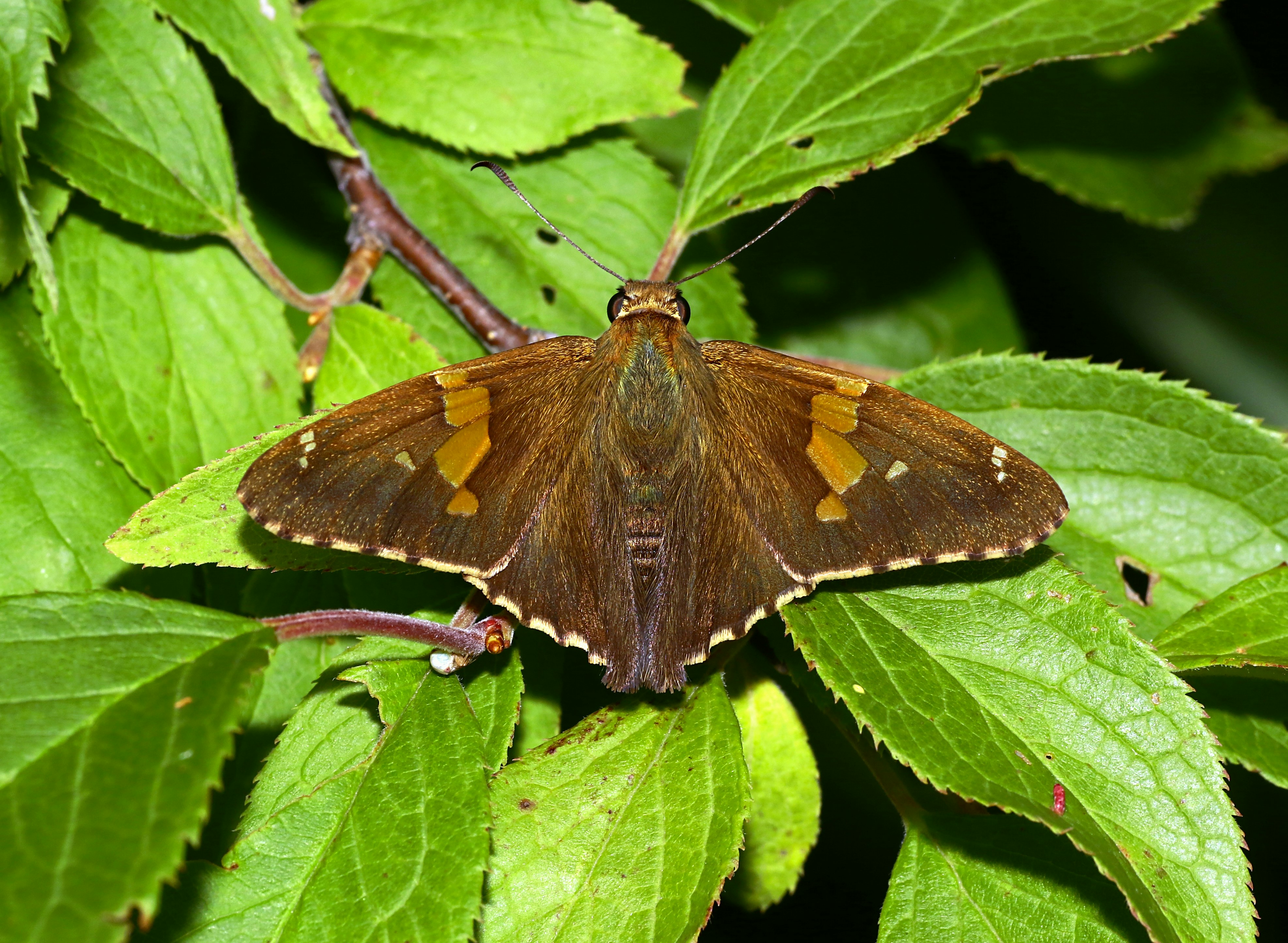 Photo by telliottmbamsc