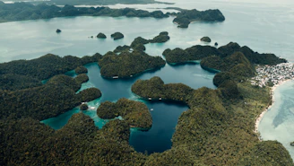 Lush green islands dotting a clear blue ocean