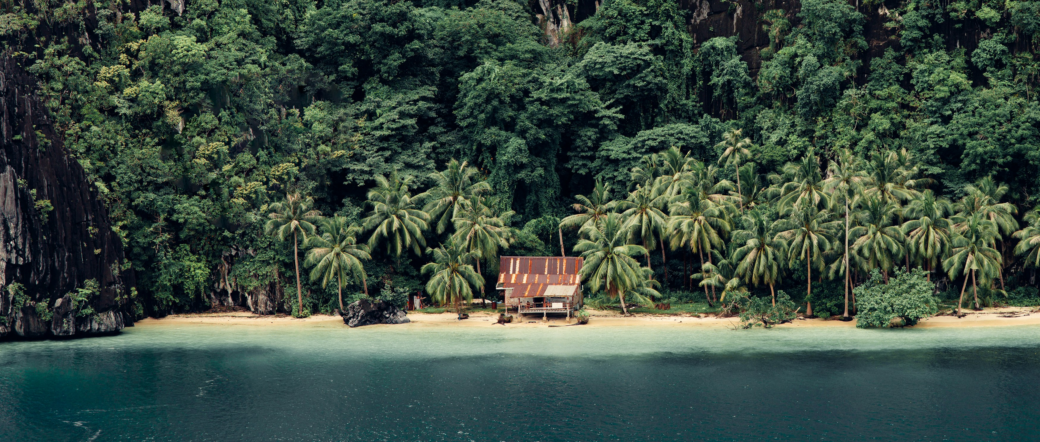 Small hut on a tropical beach with palm trees.