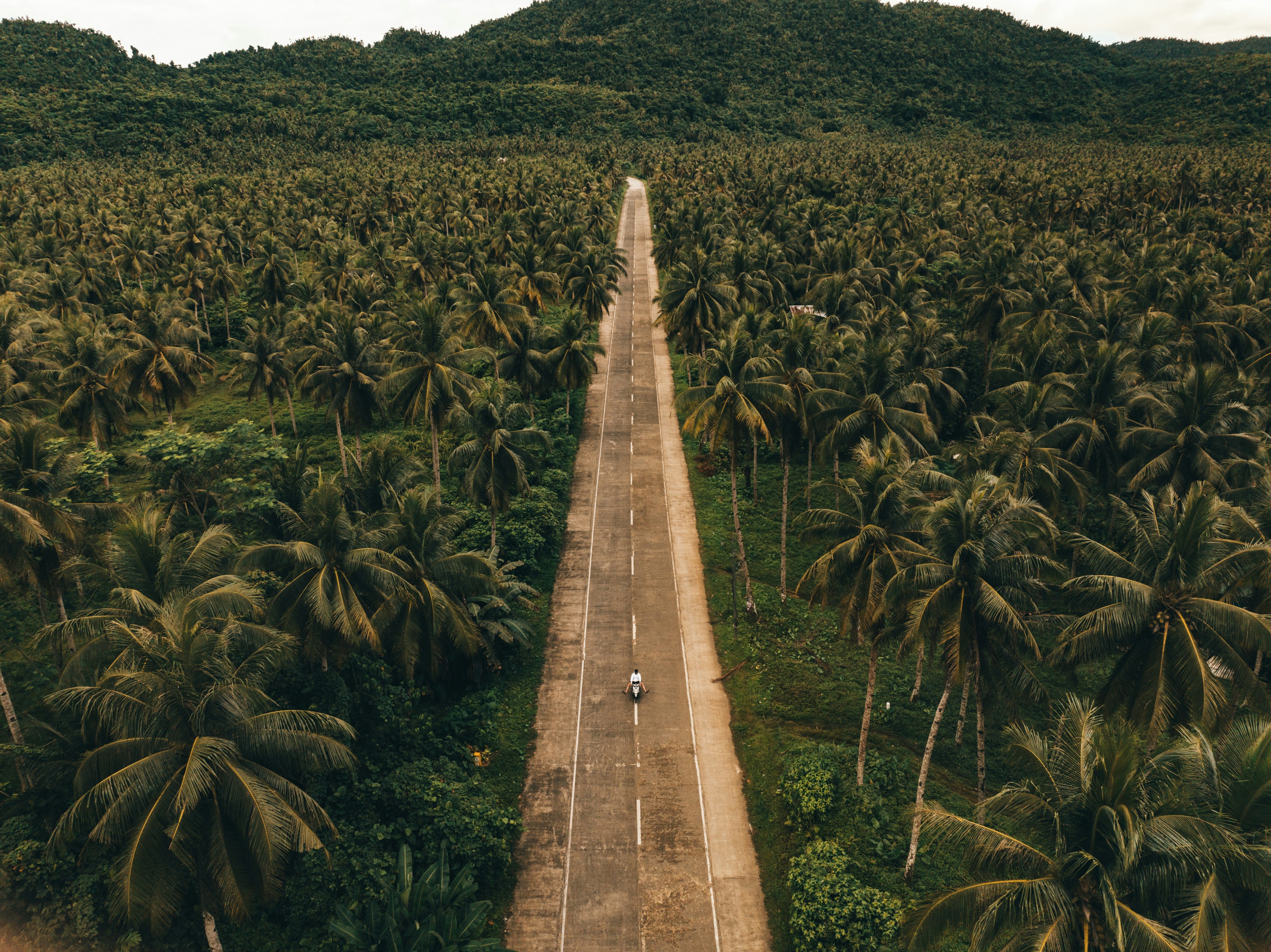 Self-help guide to Effortless Internet shopping