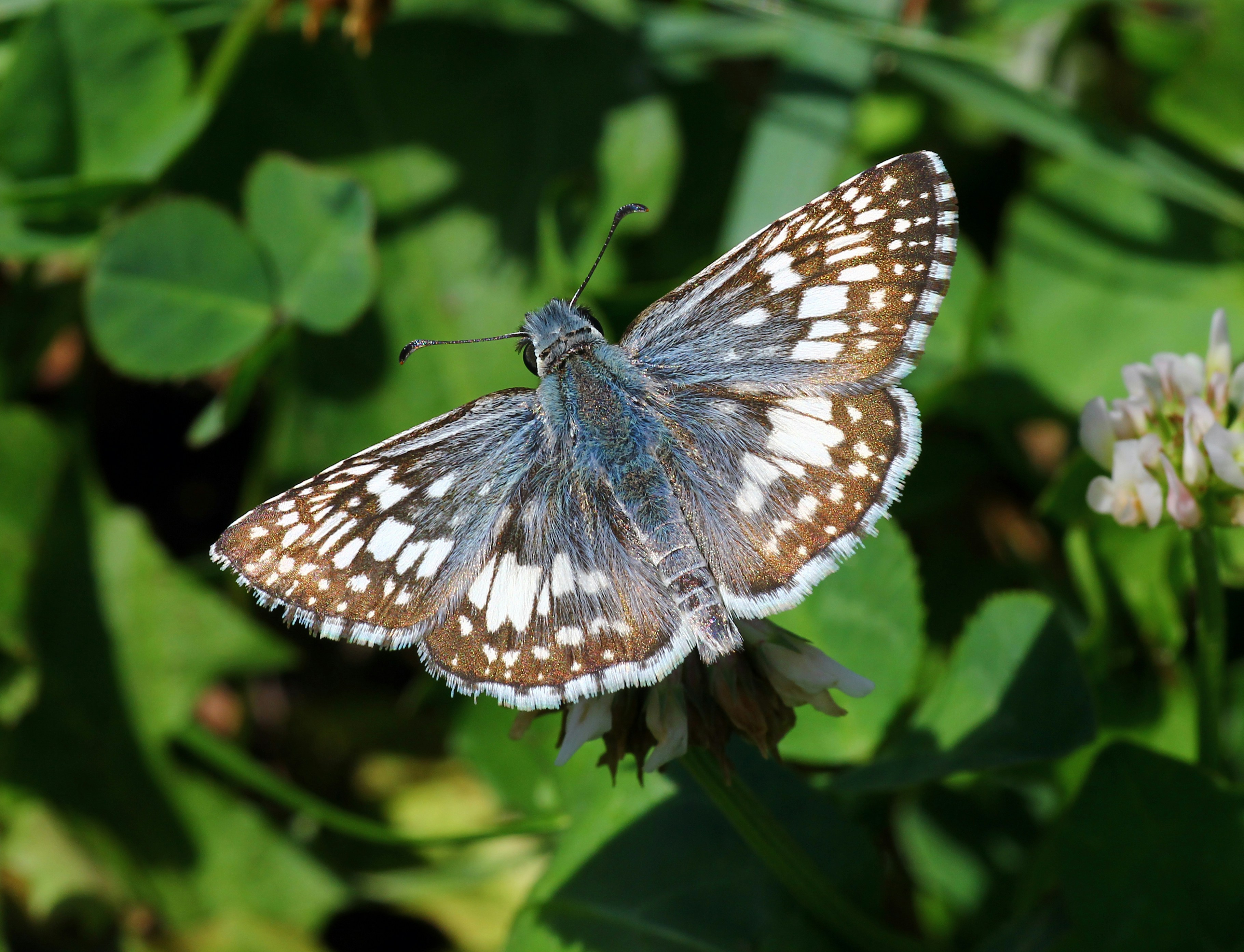 Photo by telliottmbamsc