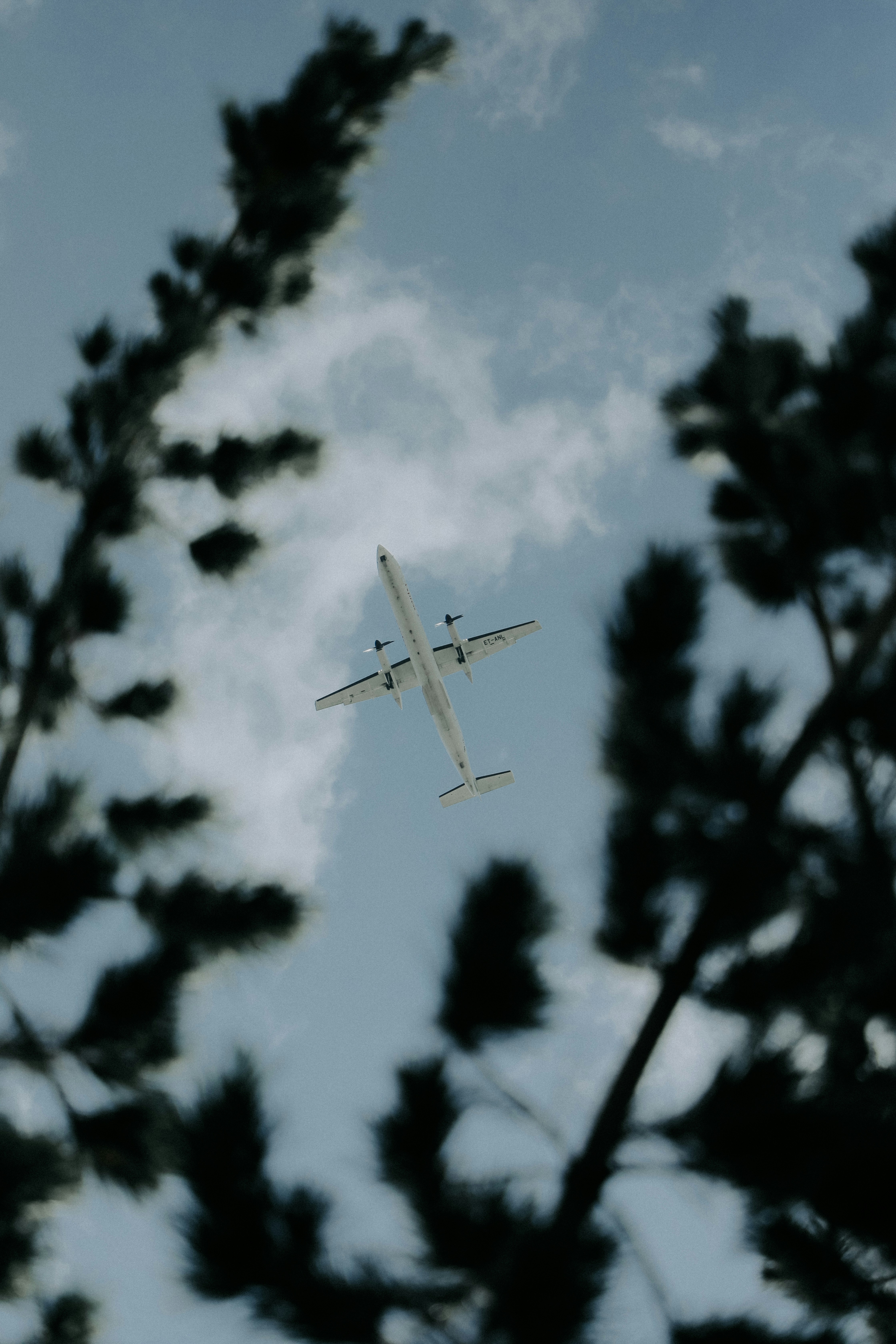 Airplane flying overhead through trees