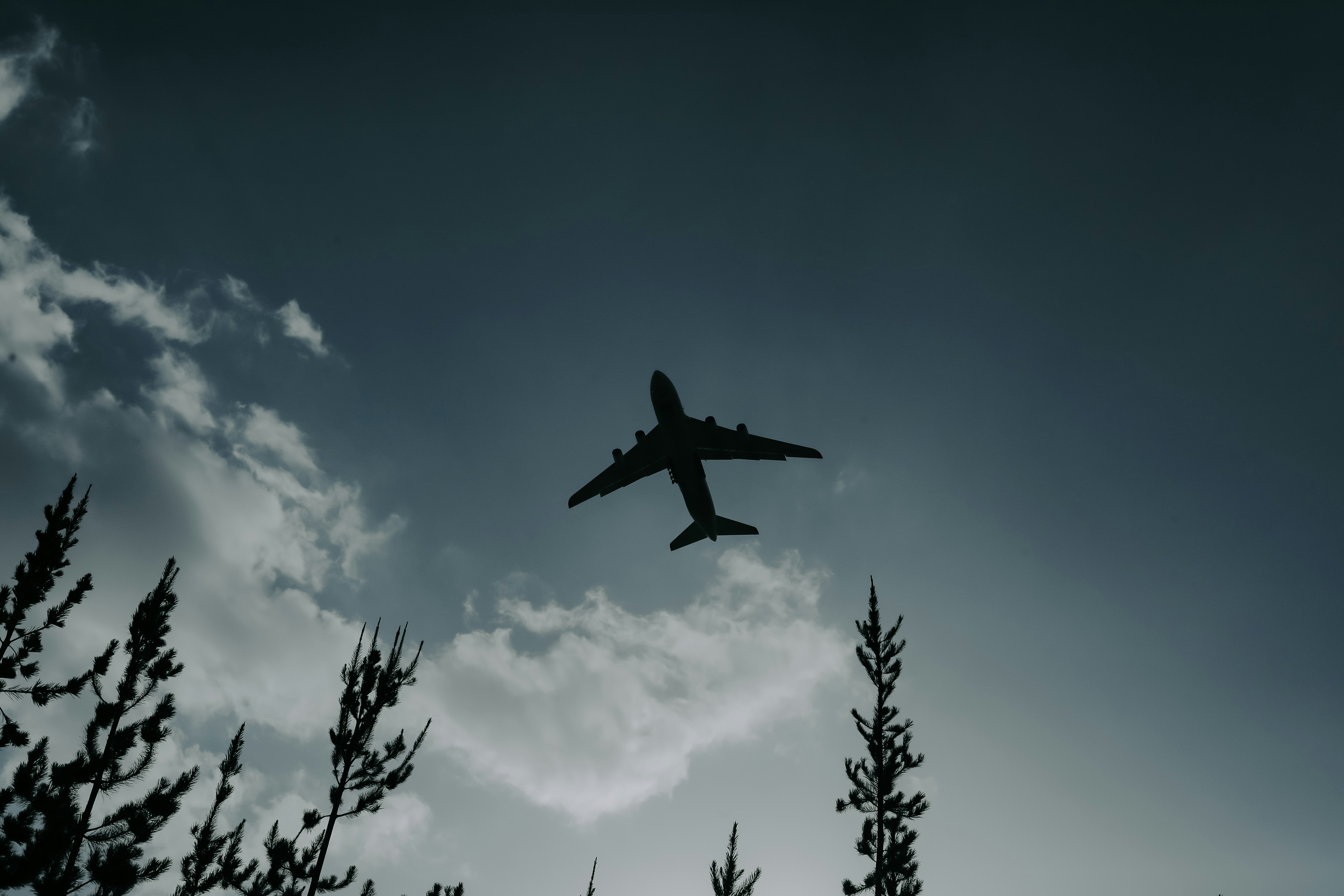 Airplane flying in the sky above trees
