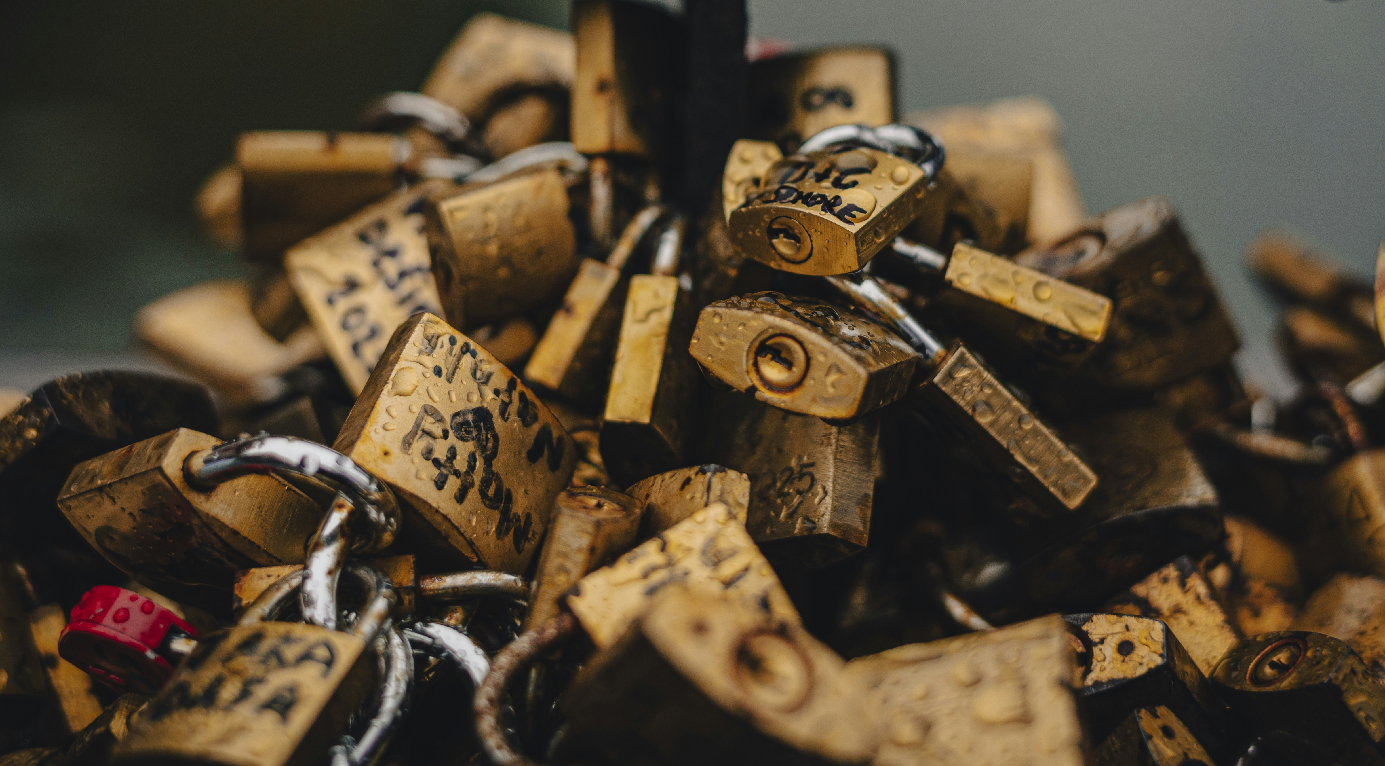 Photo by fatma_gallery