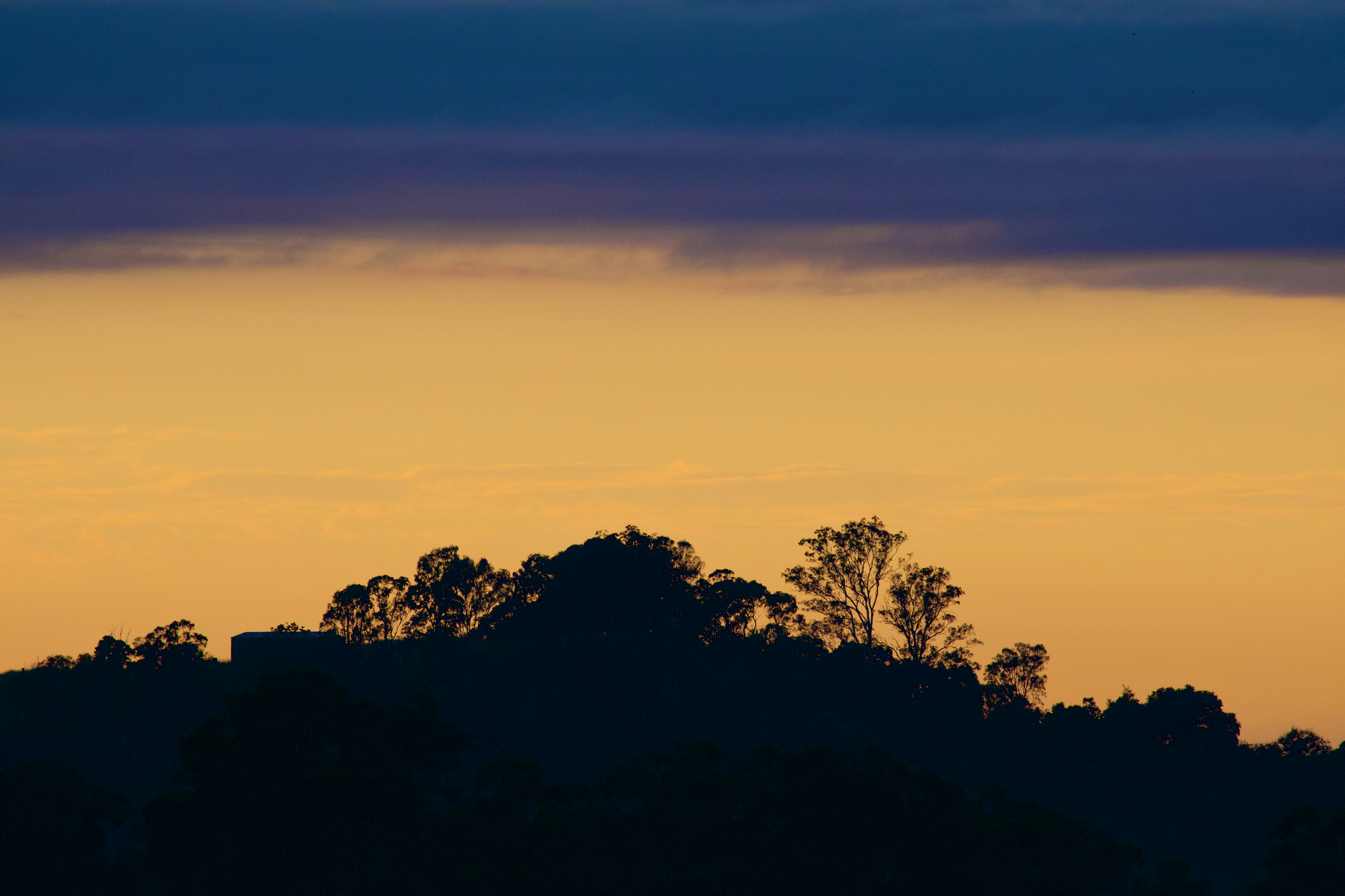 Photo by the_afternoon_photographer