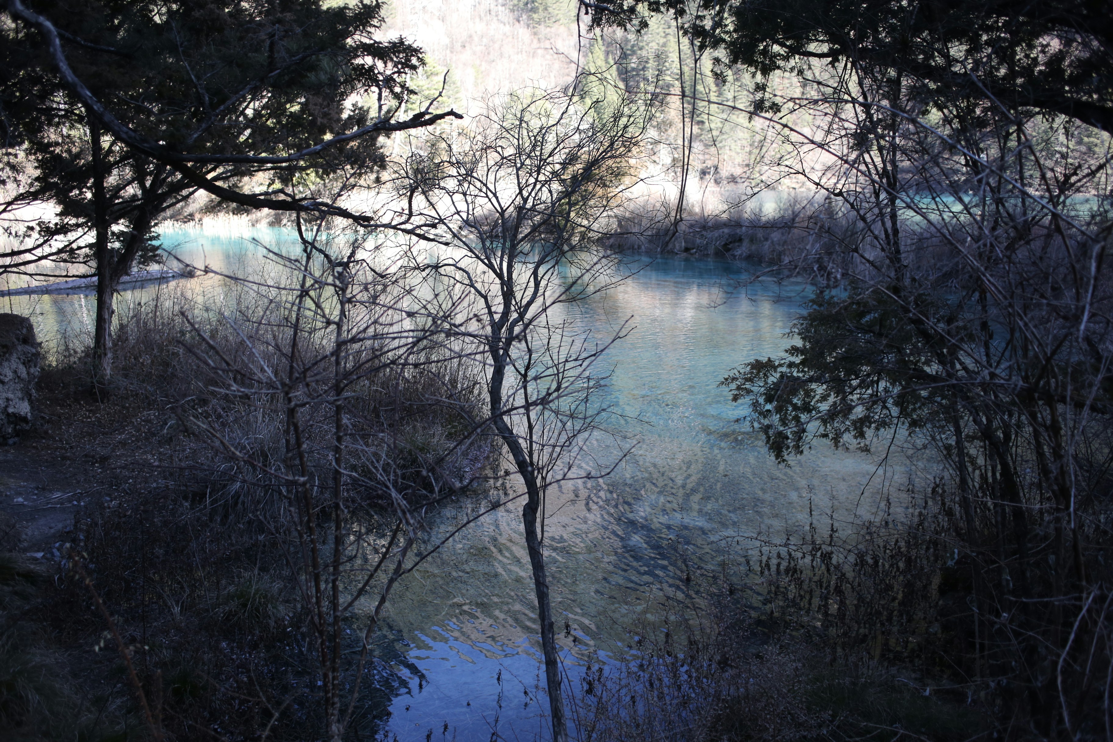 Photo by mclee