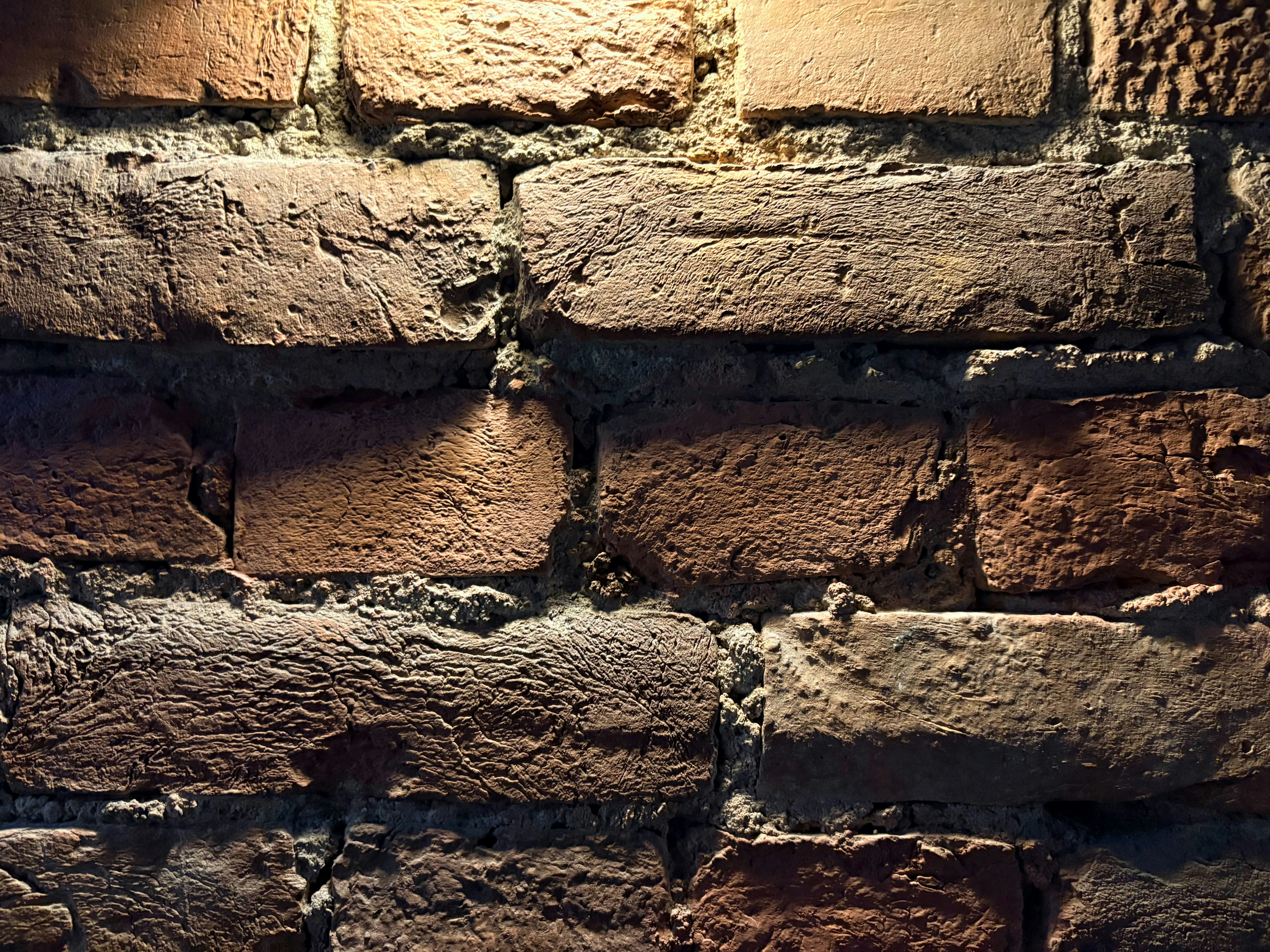 Photo by tashakostyuk