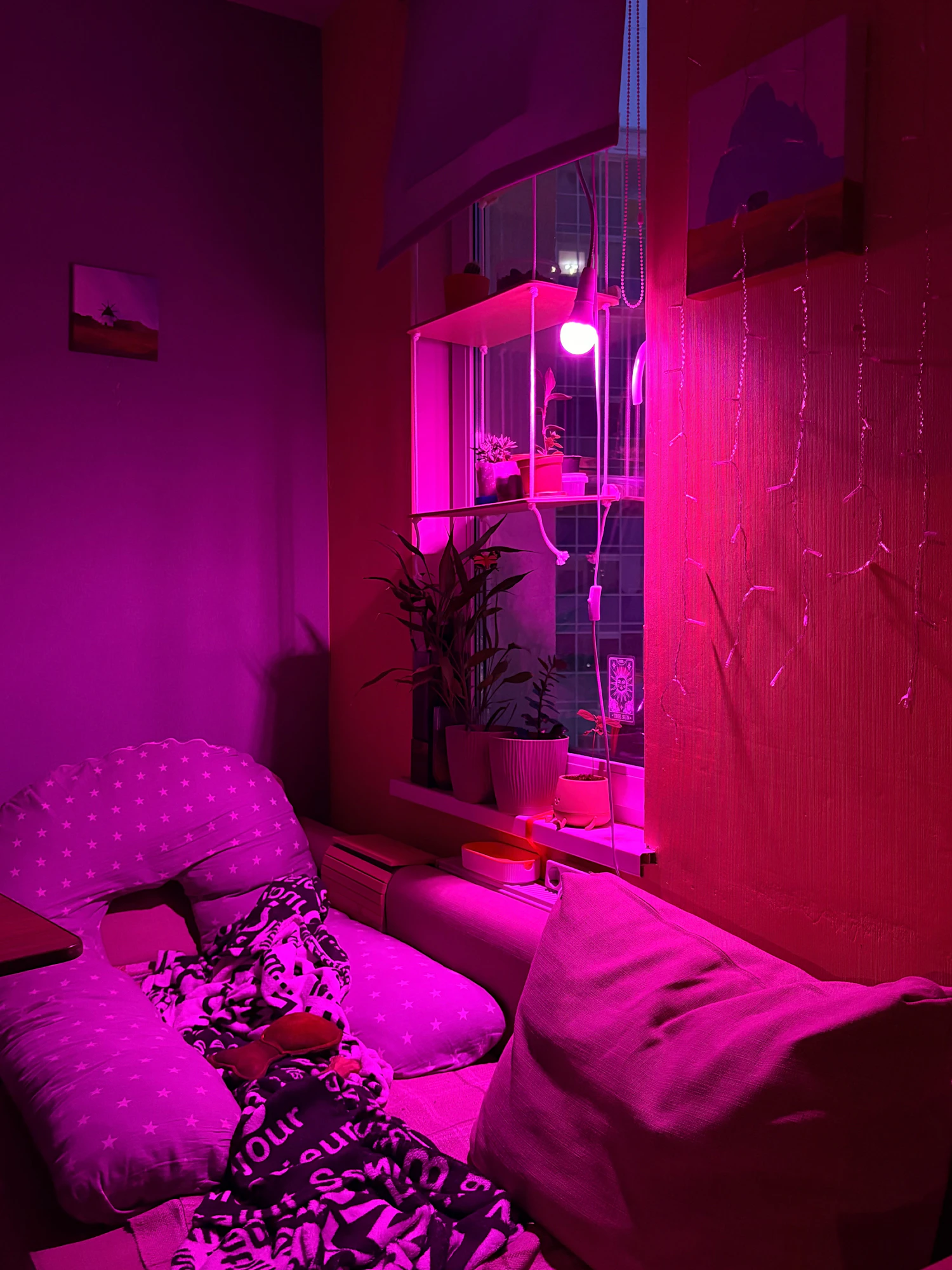 A window corner lit magenta by red-blue grow bulbs over potted plants