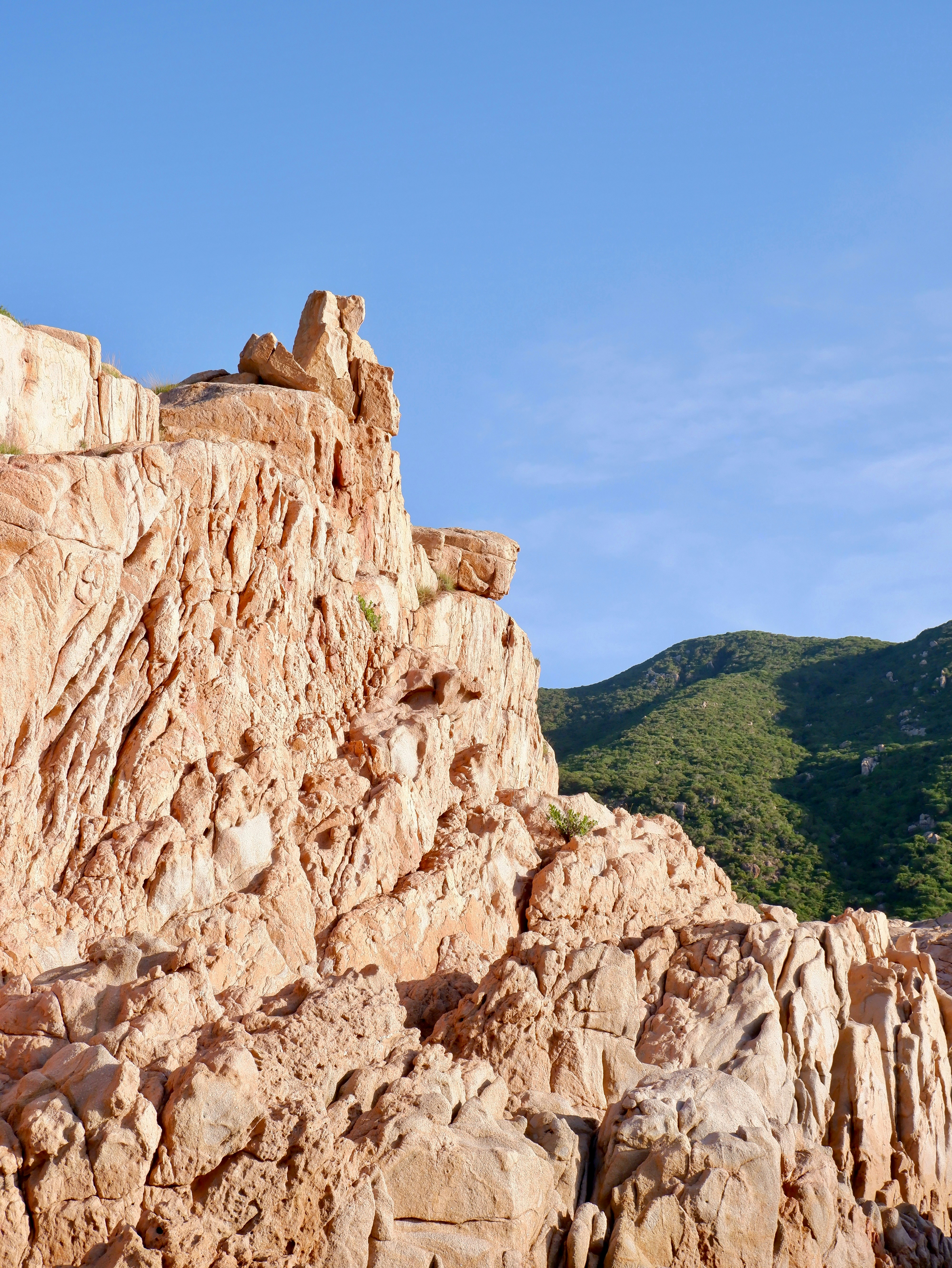 Photo by liliantruong2603