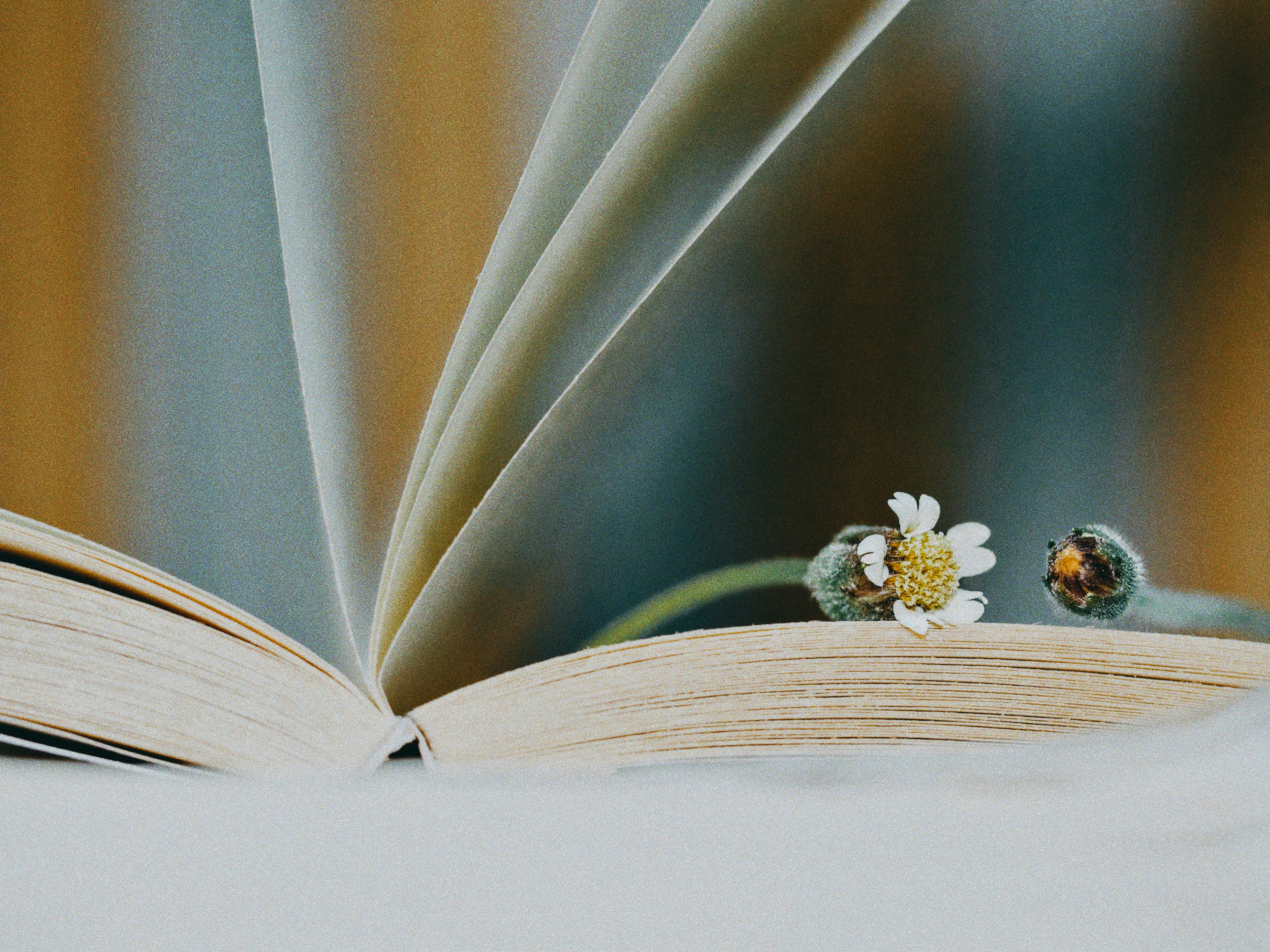 Photo by liliantruong2603