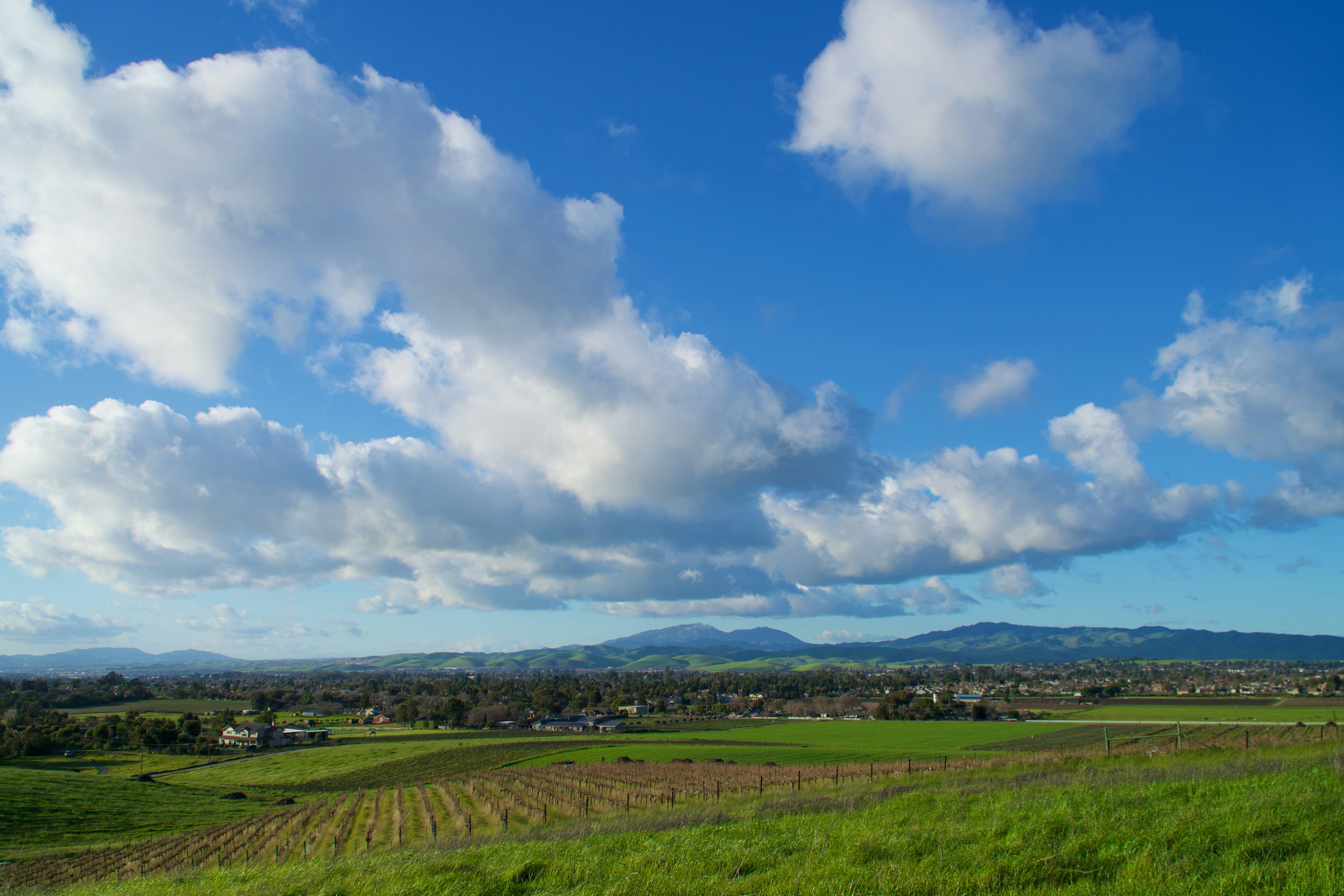 Photo by spencer_demera