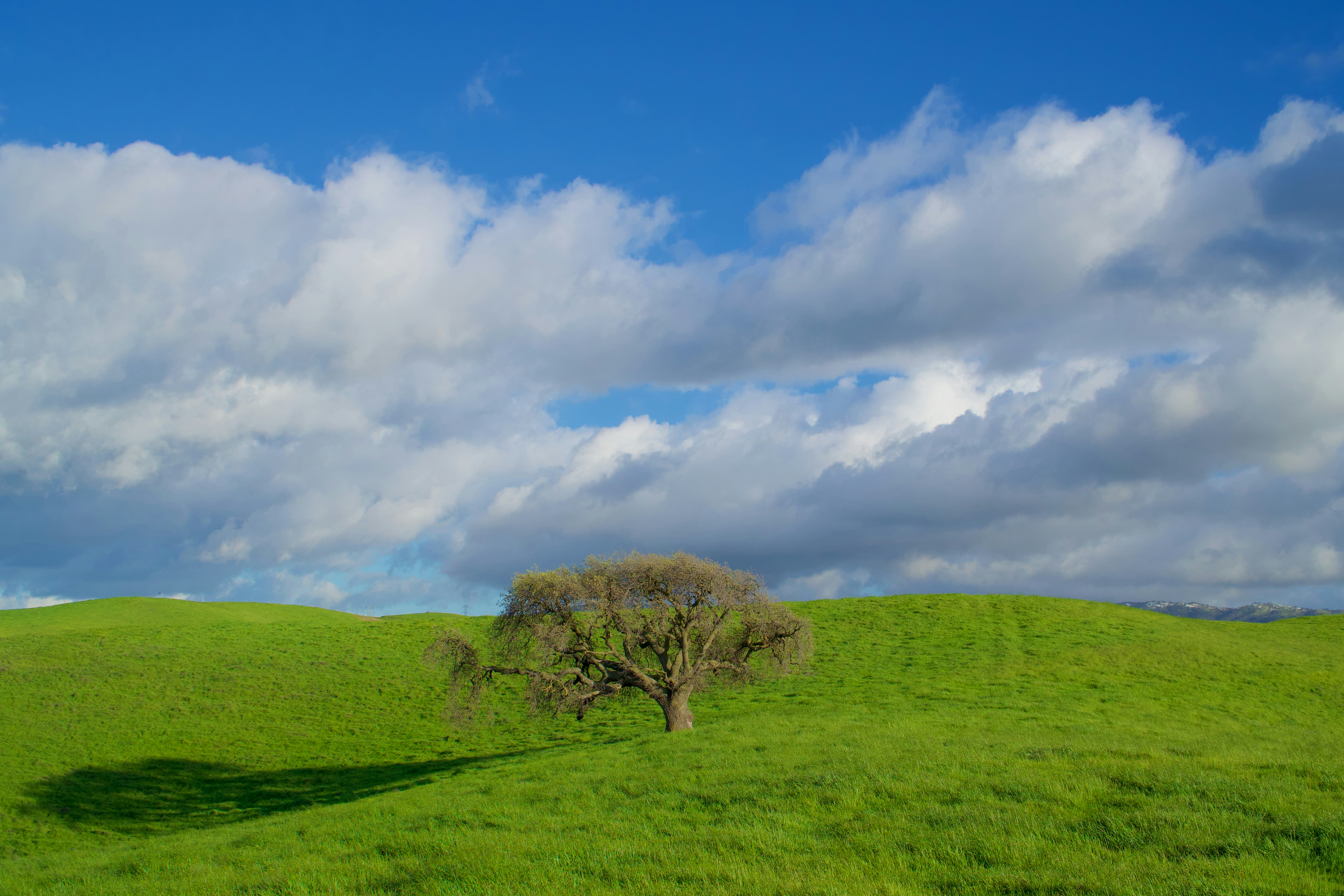 Photo by spencer_demera