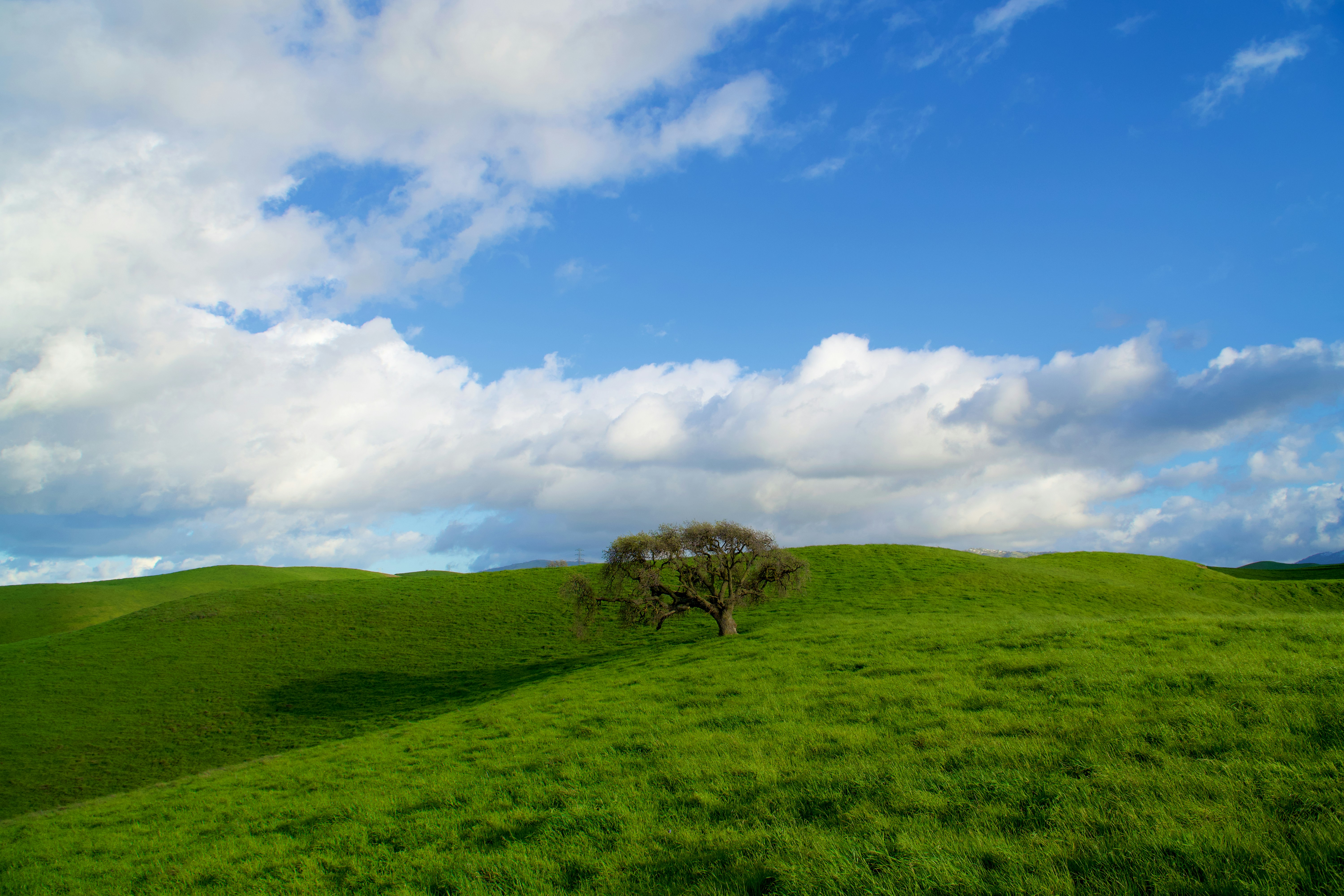 Photo by spencer_demera