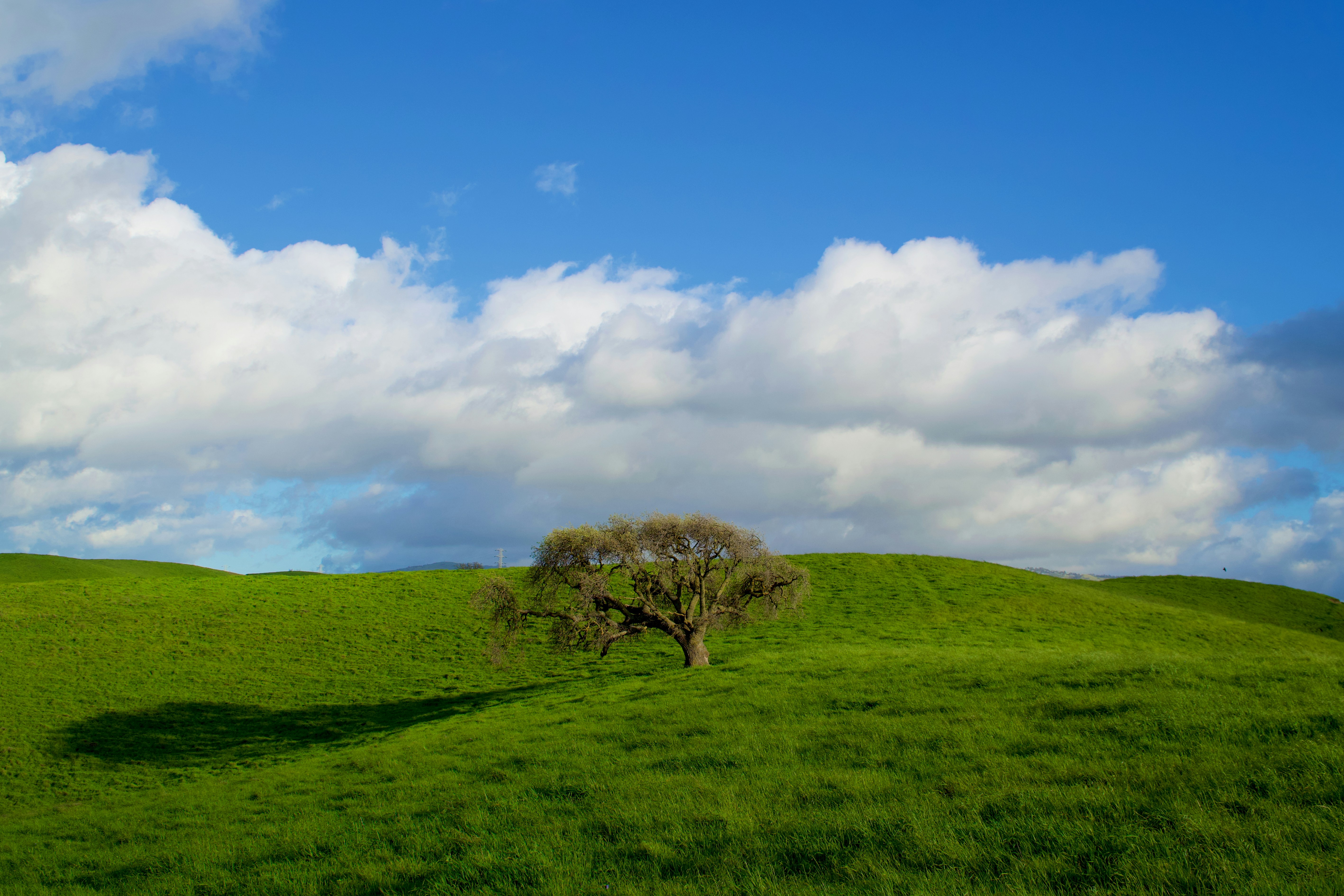 Photo by spencer_demera