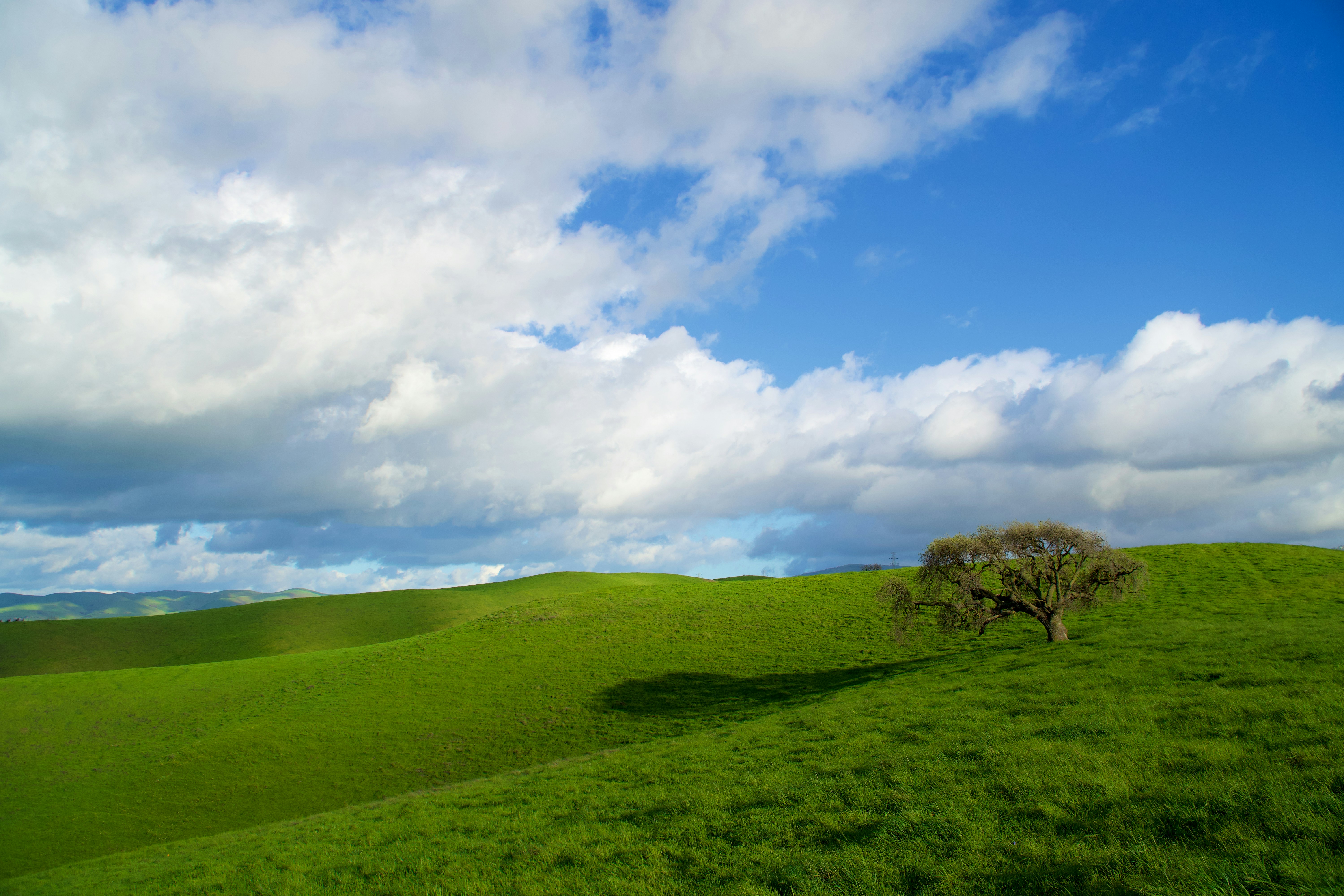 Photo by spencer_demera