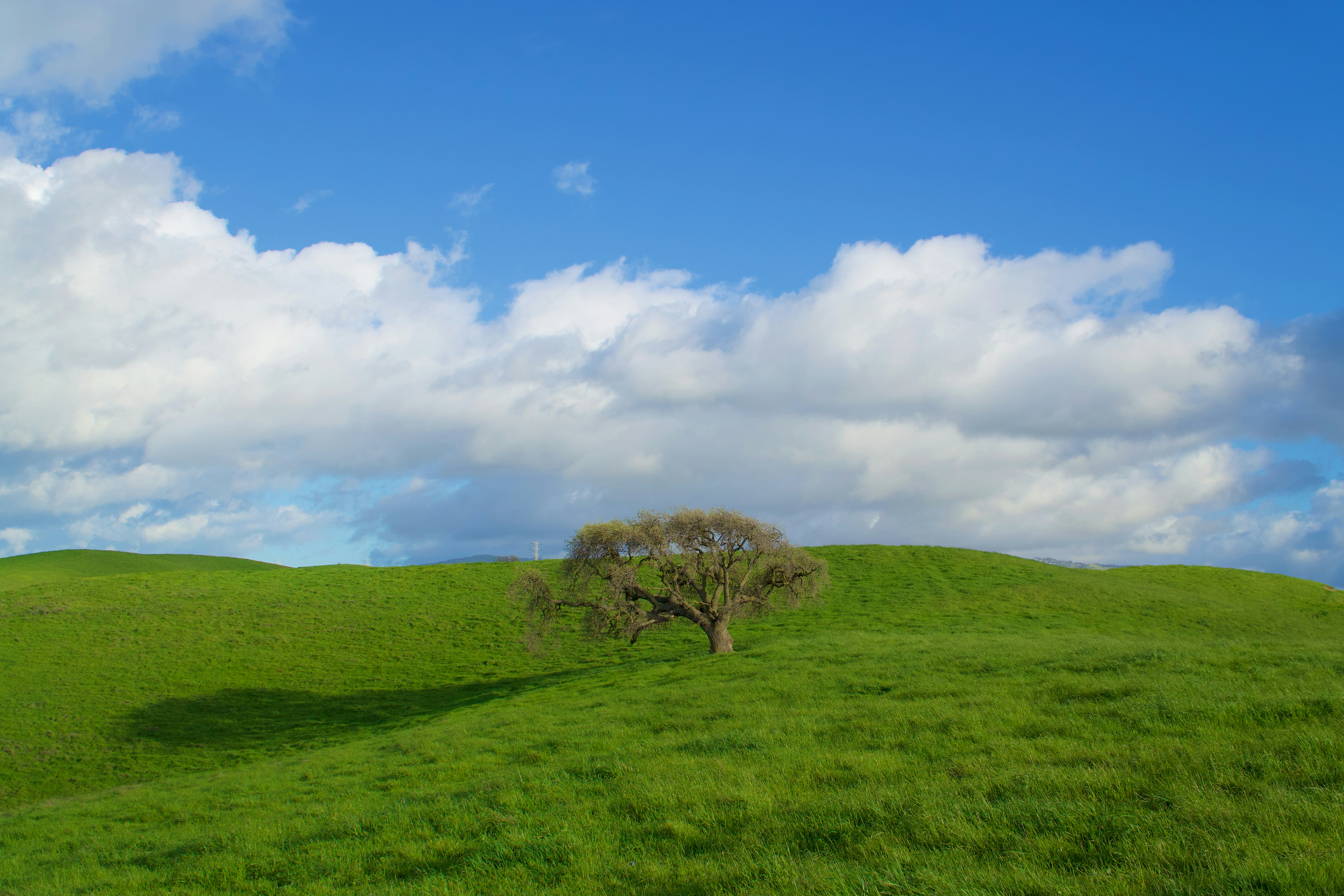 Photo by spencer_demera