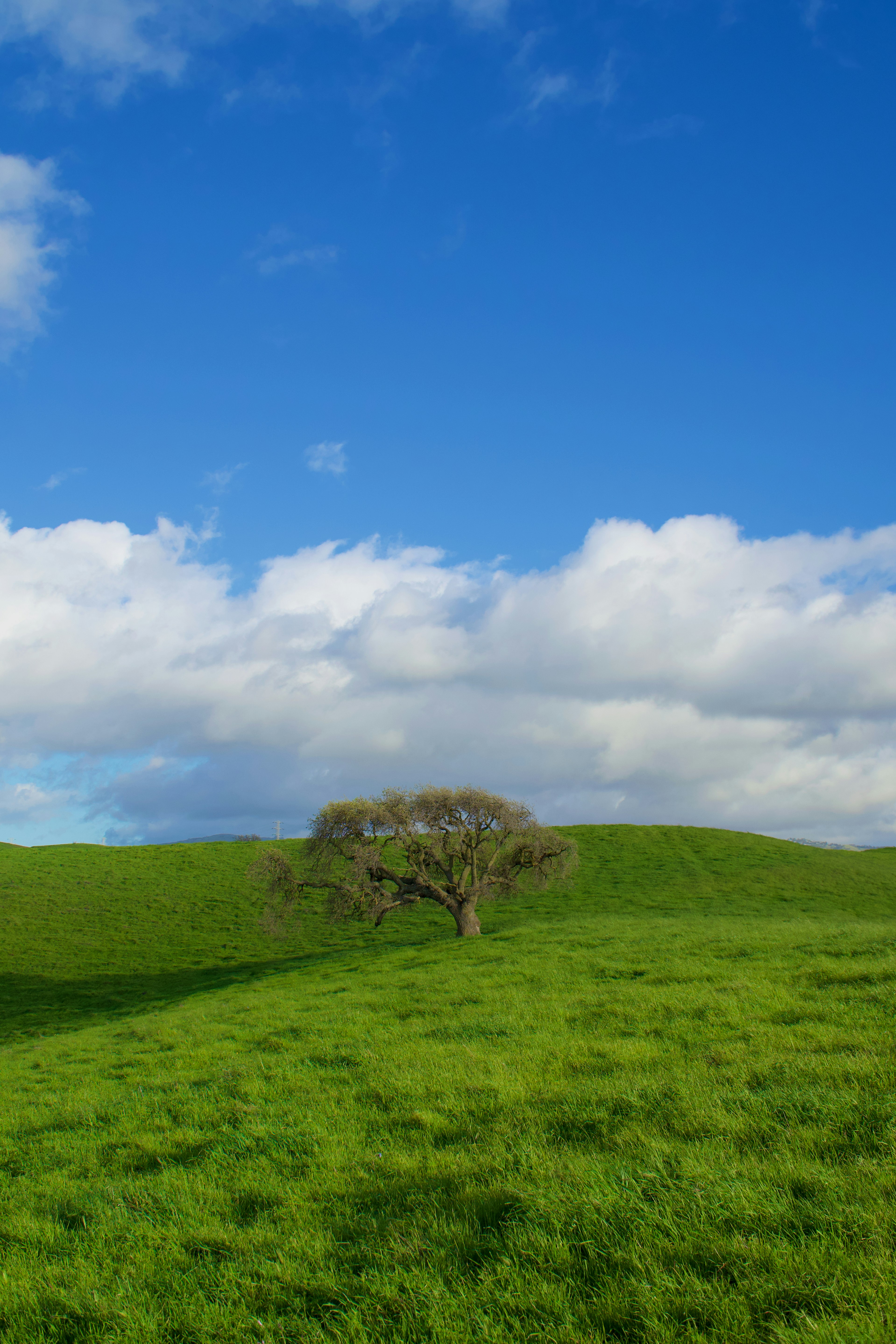 Photo by spencer_demera