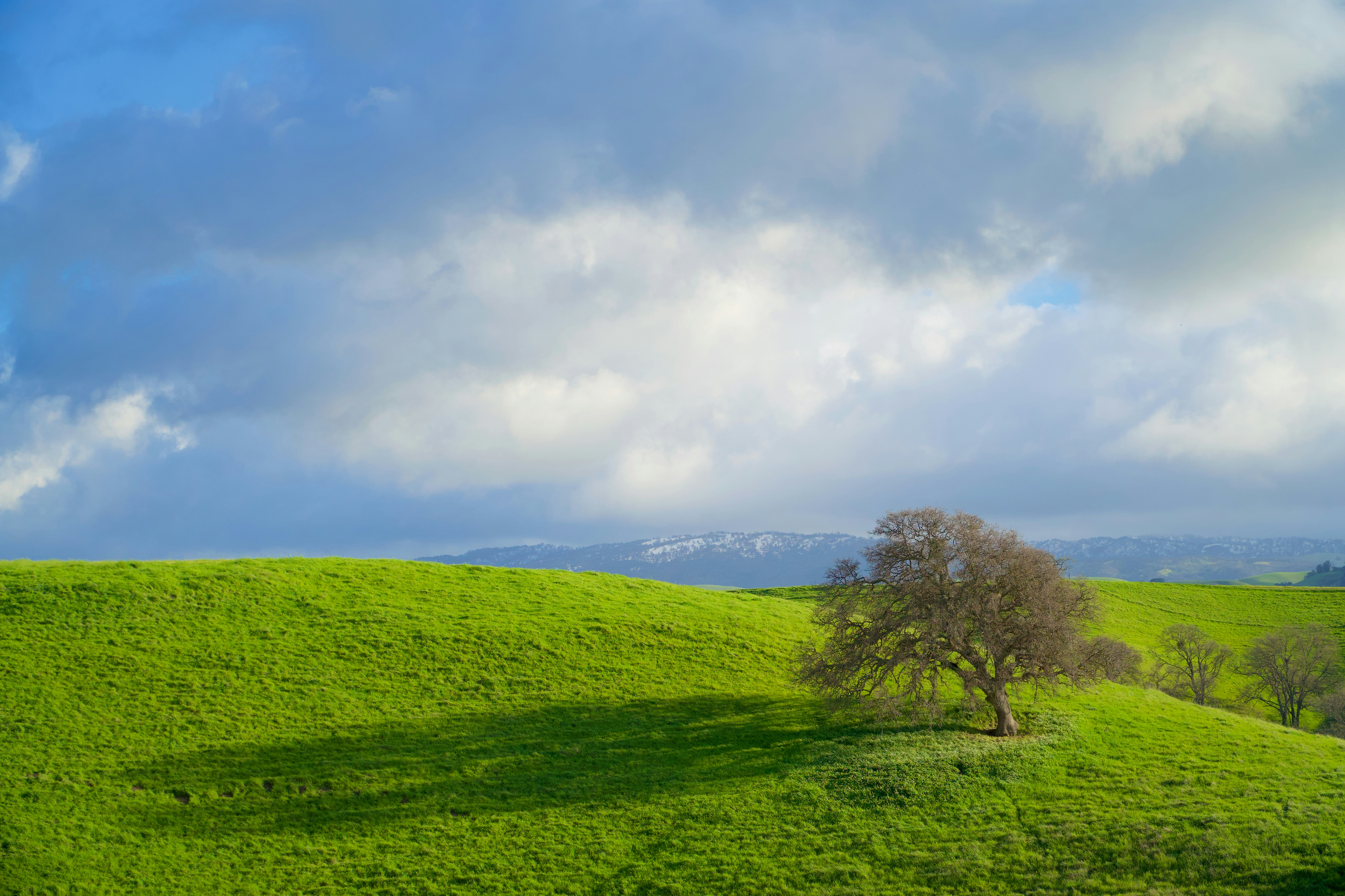 Photo by spencer_demera