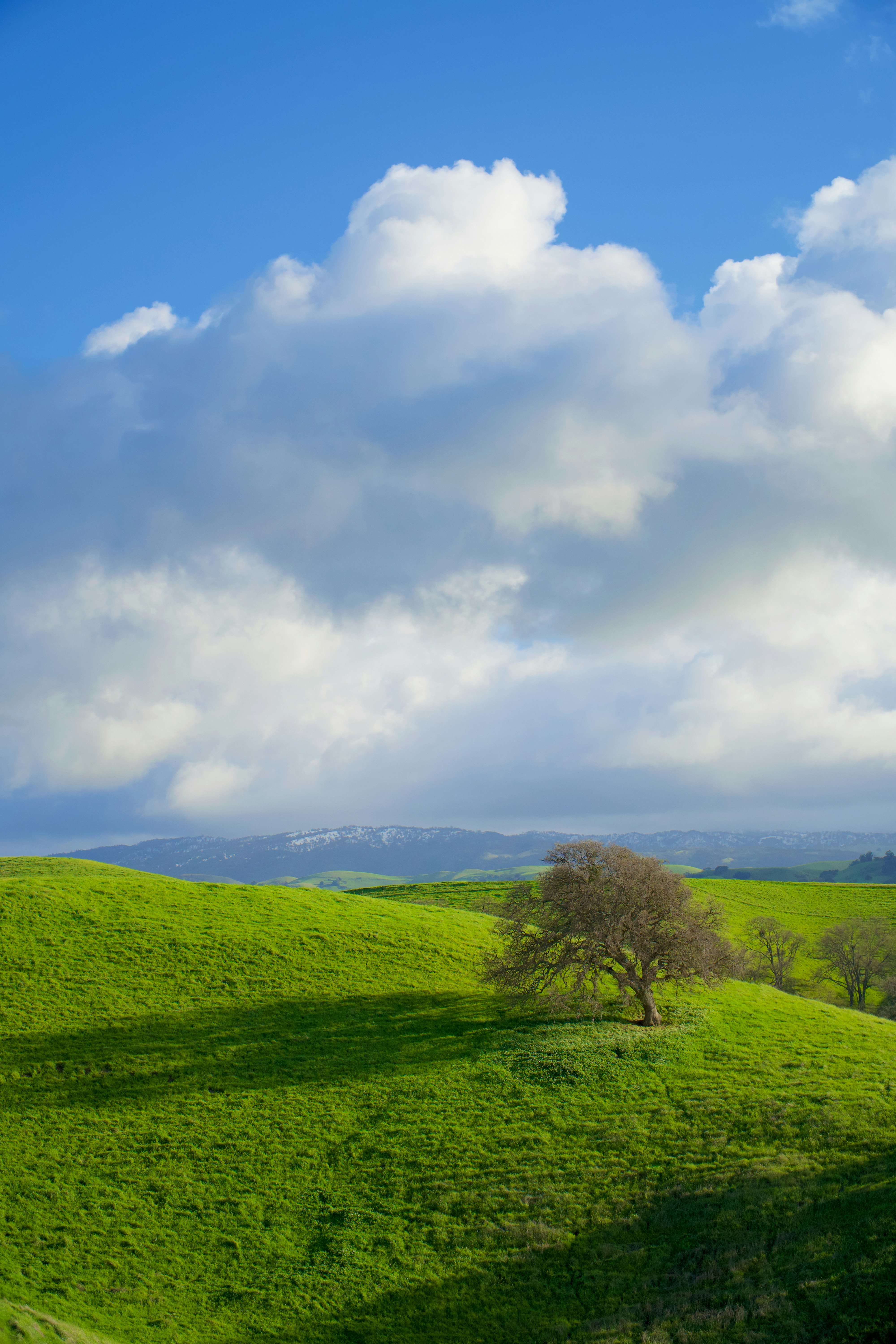 Photo by spencer_demera