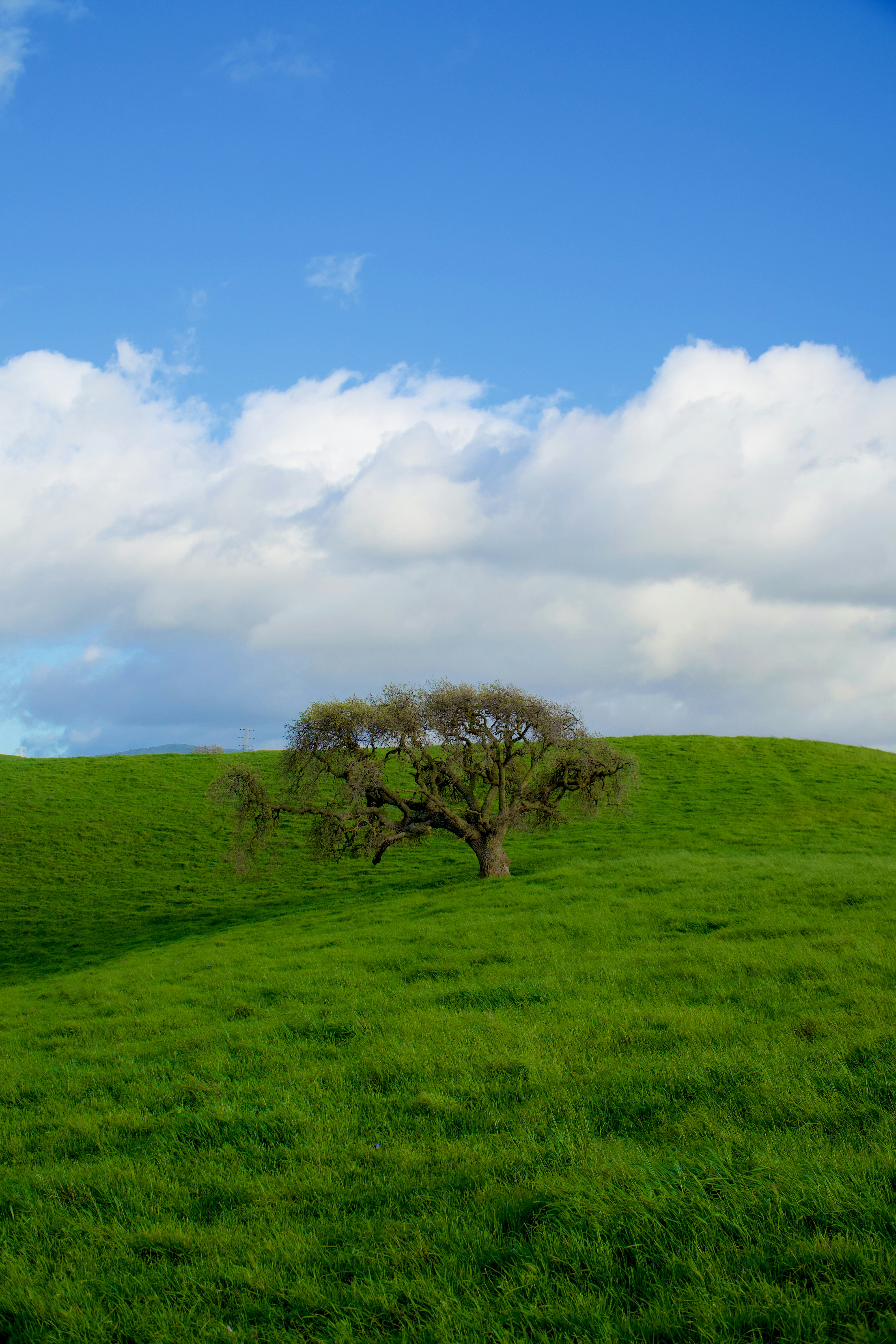 Photo by spencer_demera