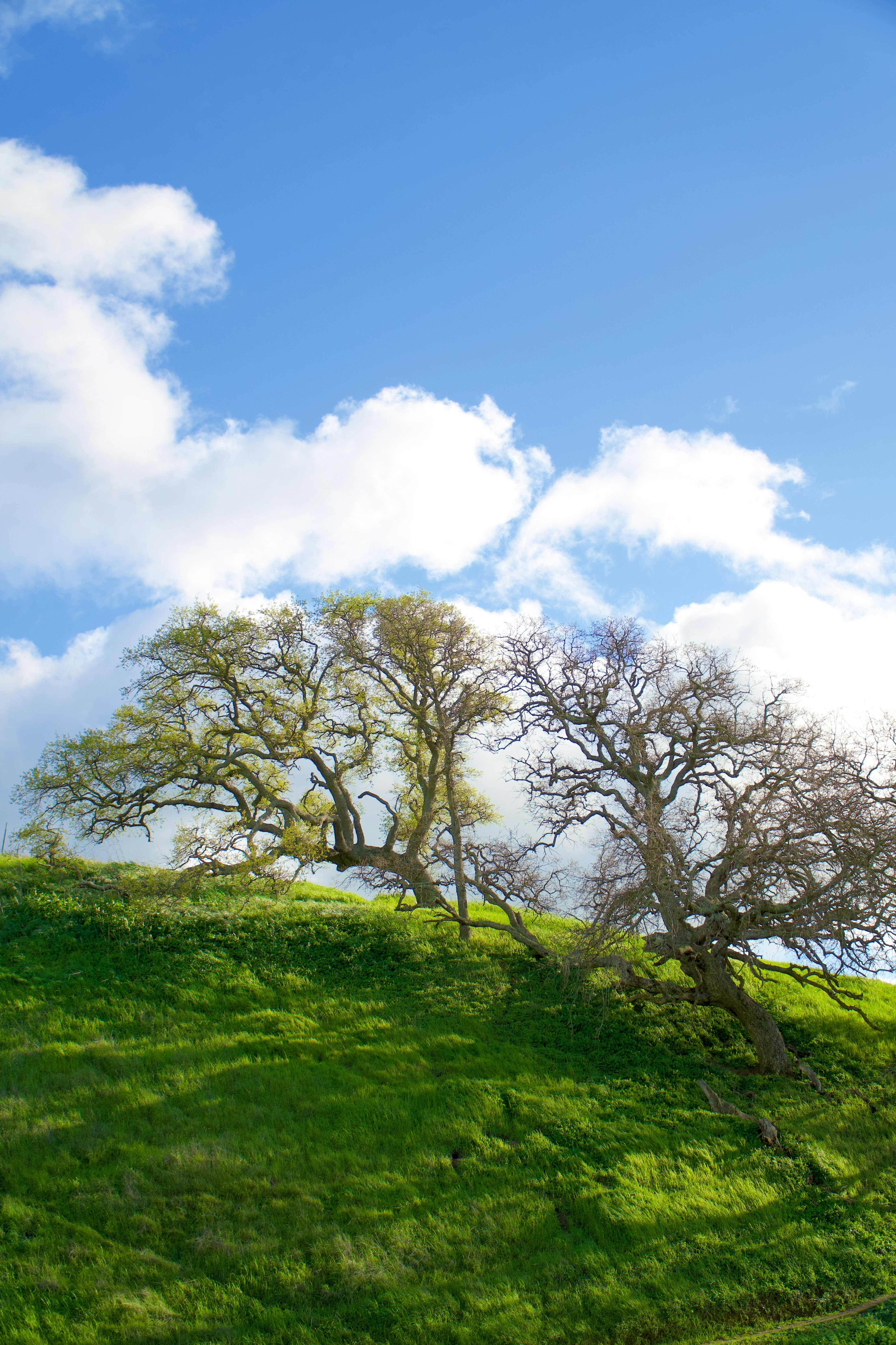 Photo by spencer_demera