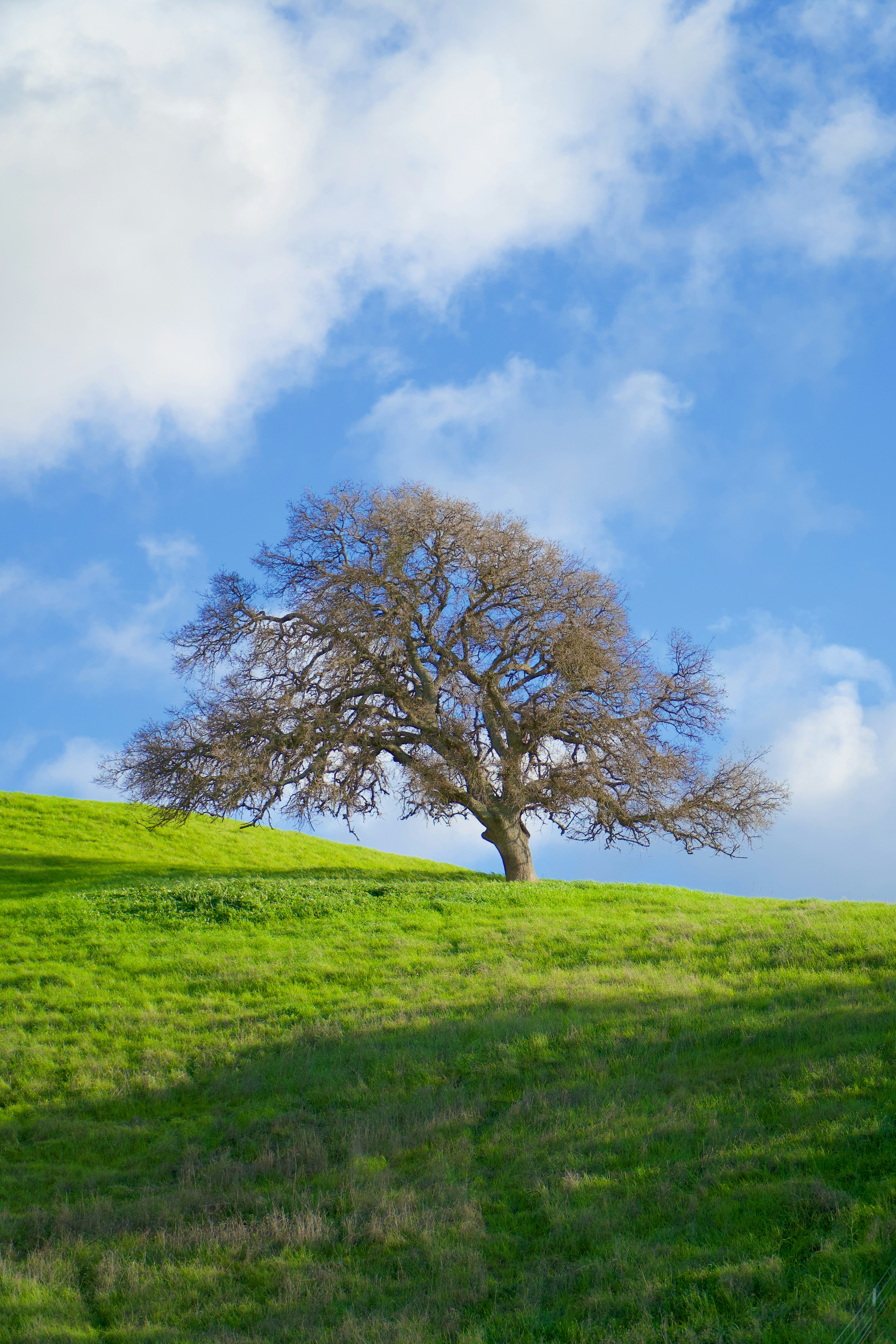 Photo by spencer_demera