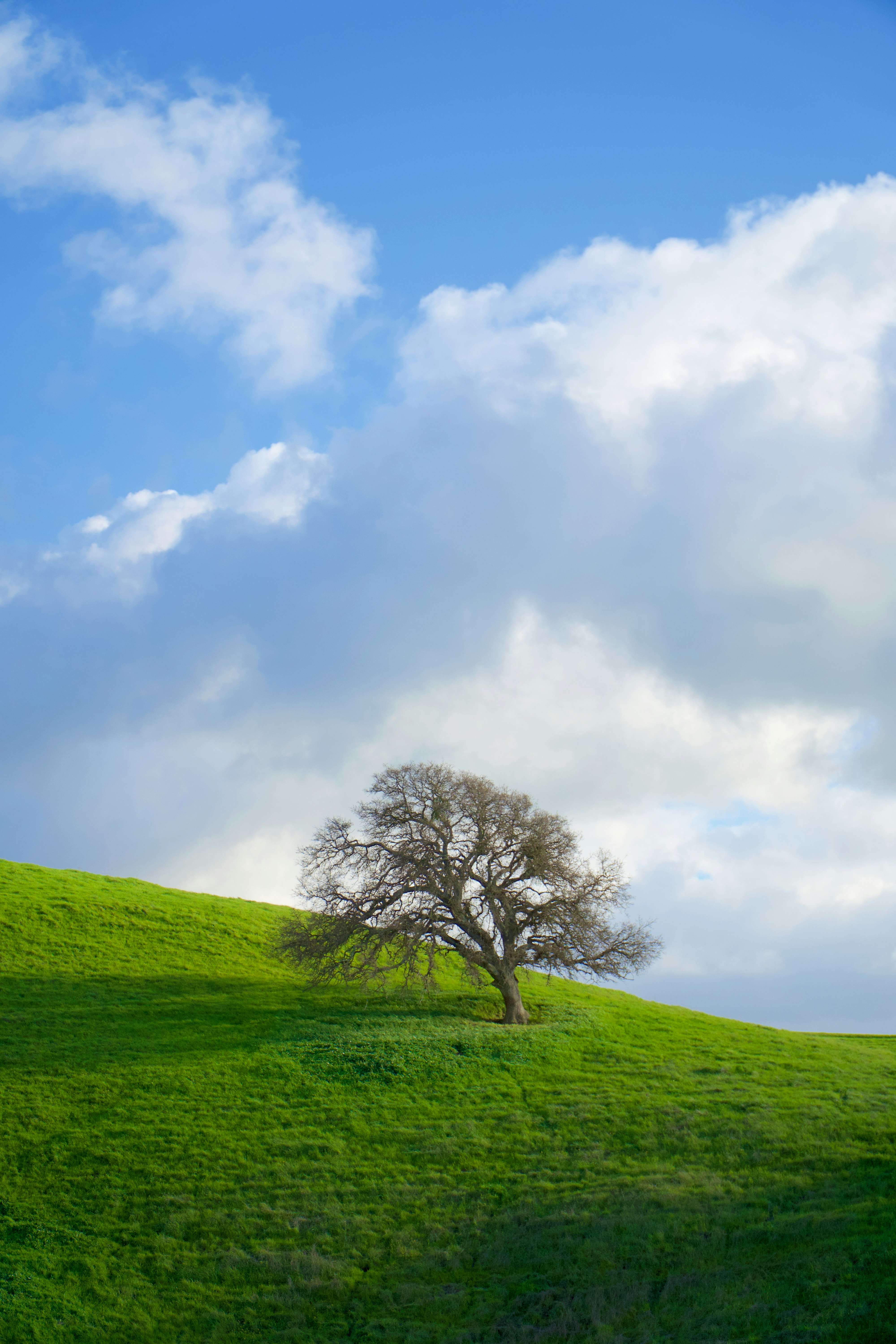 Photo by spencer_demera