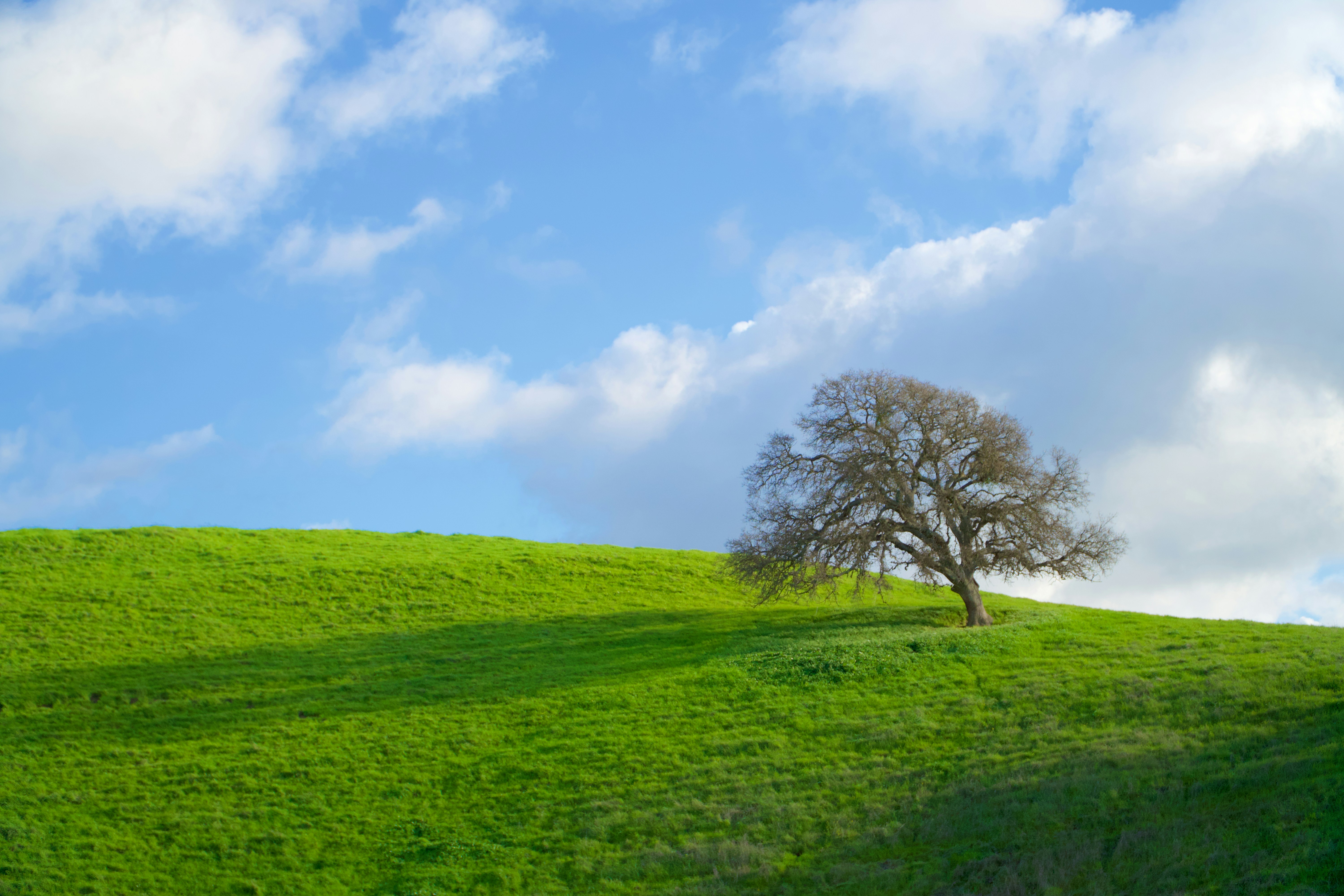 Photo by spencer_demera