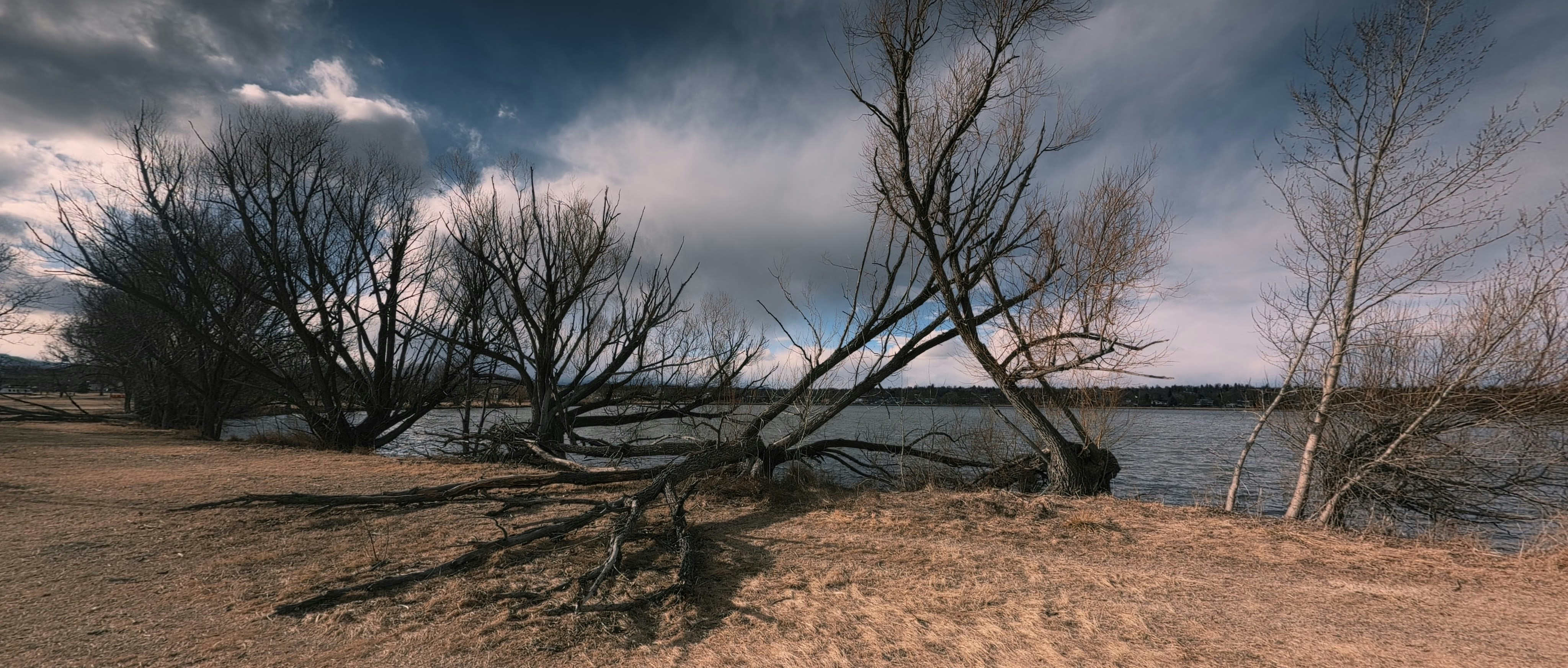 Shady Oak Beach