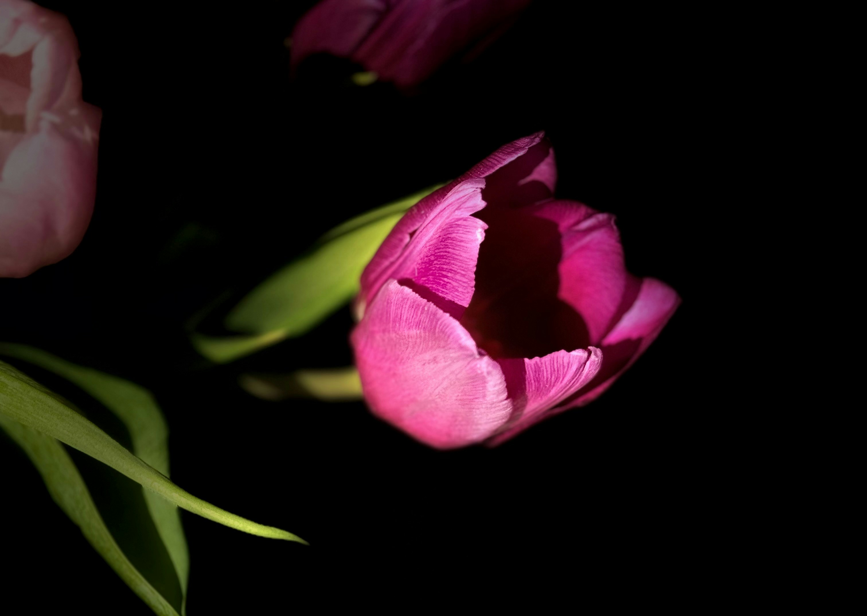 Photo by photosfromhome