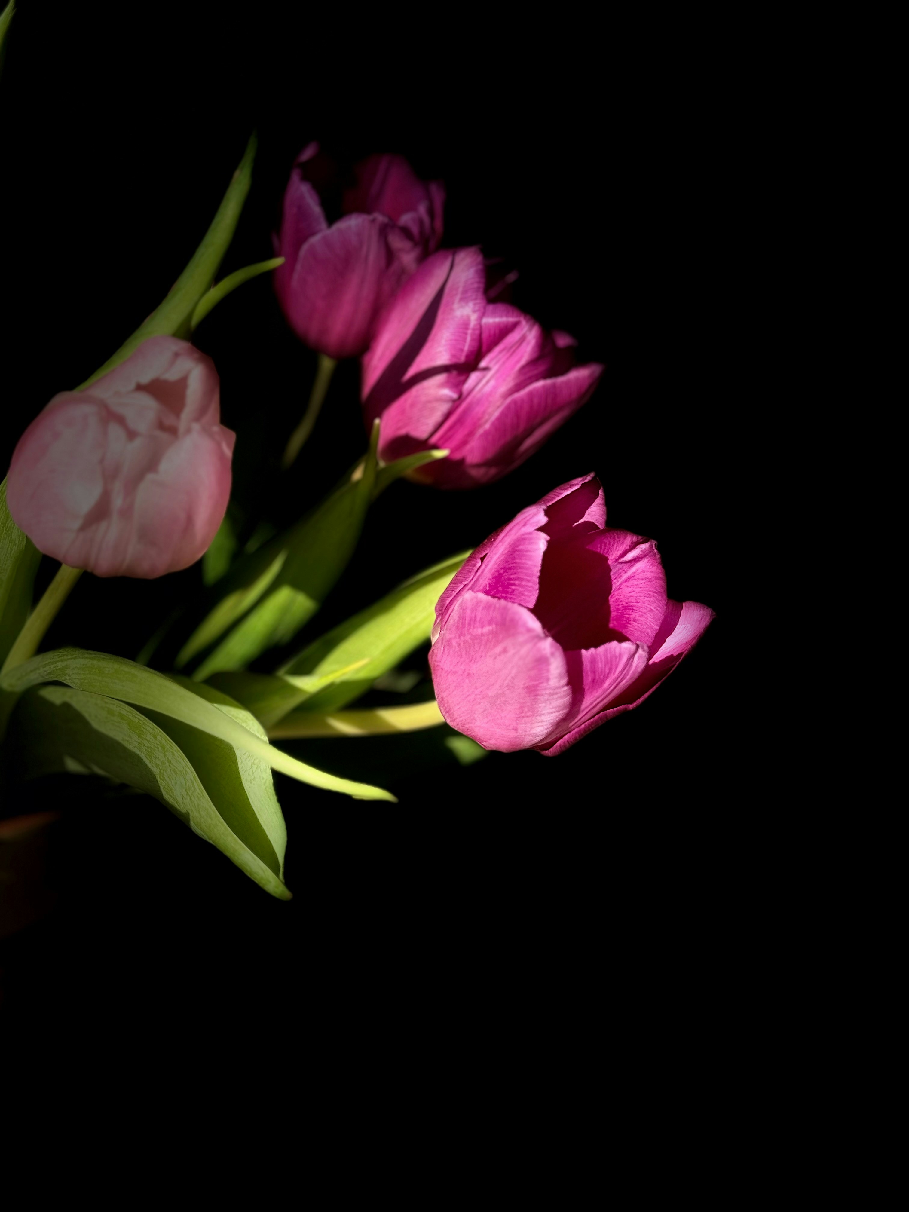 Photo by photosfromhome