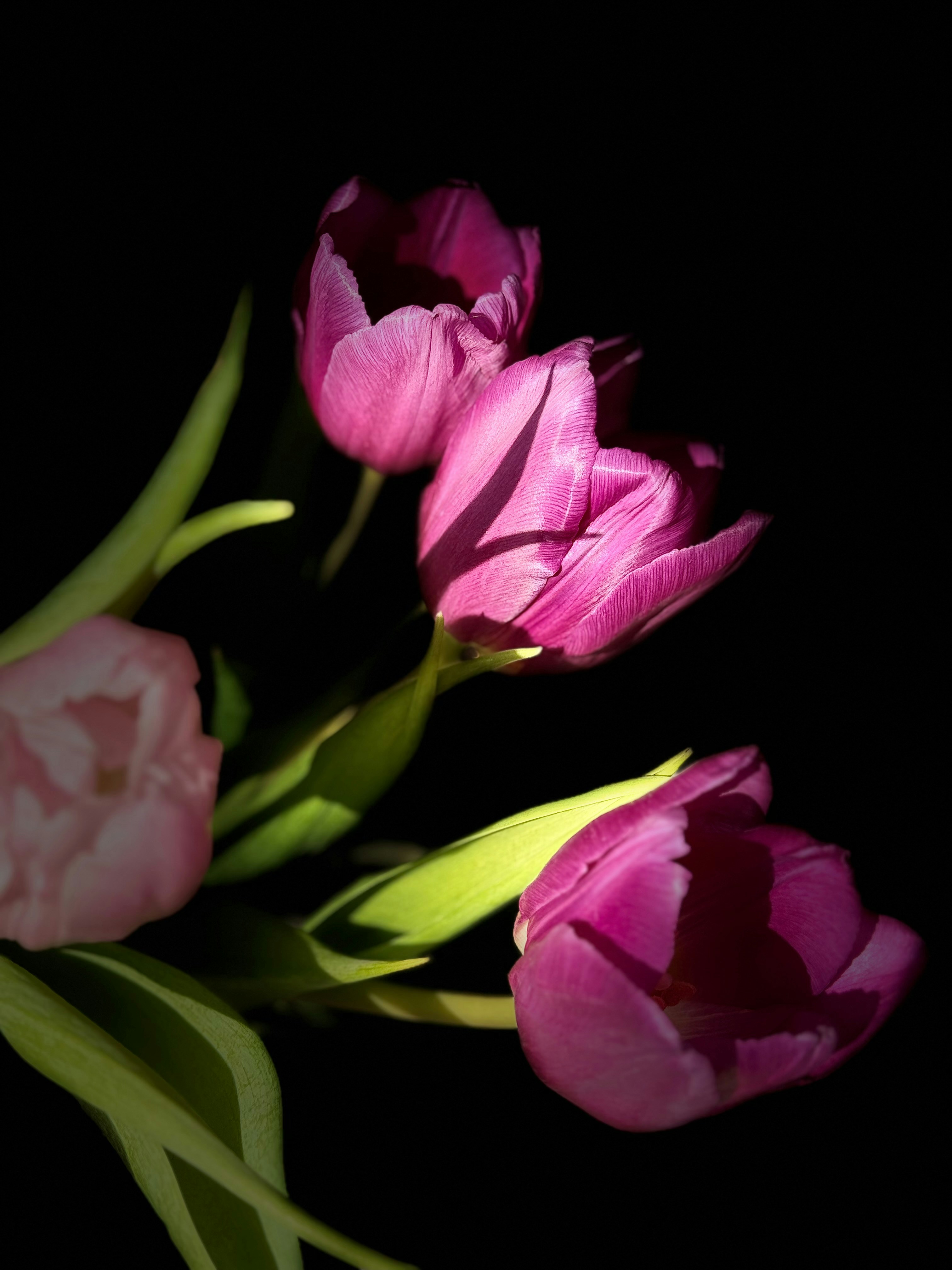 Photo by photosfromhome