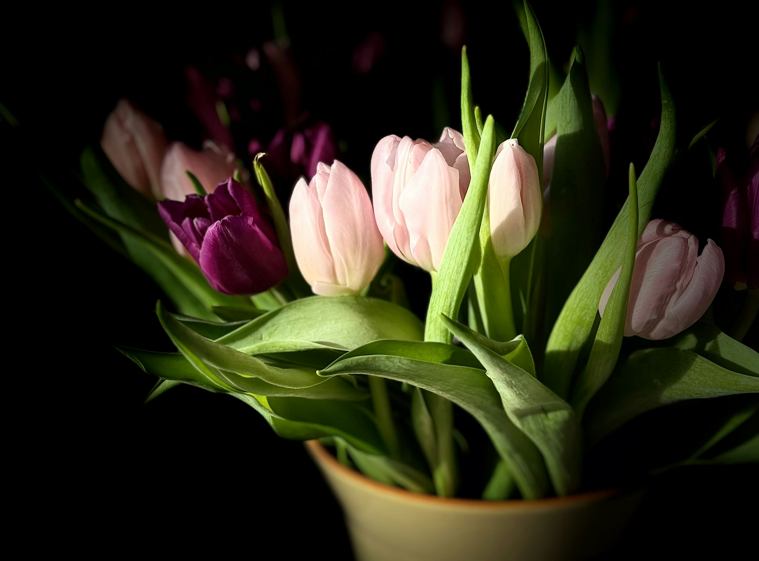 Photo by photosfromhome