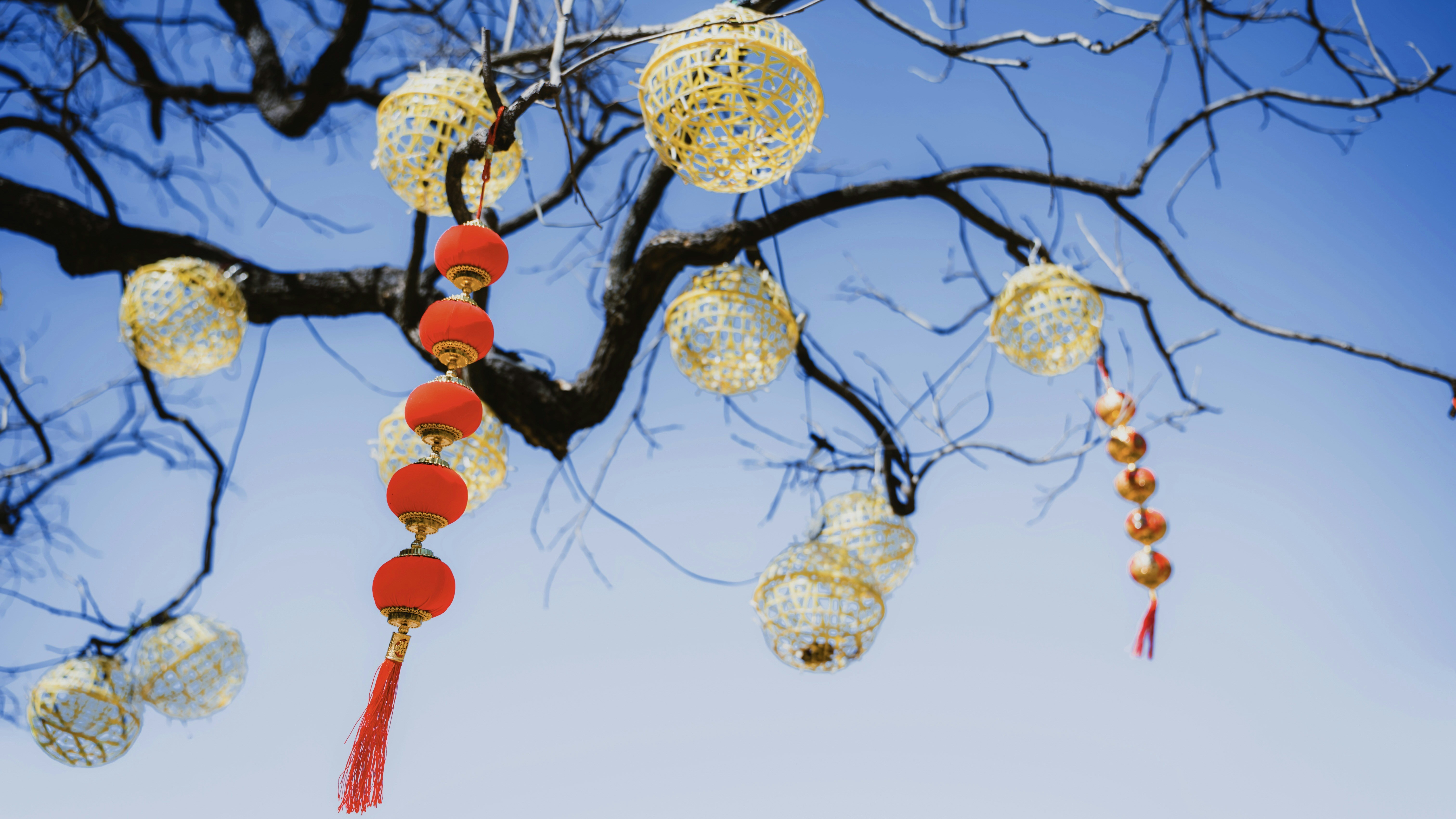 Photo by wangbinghua