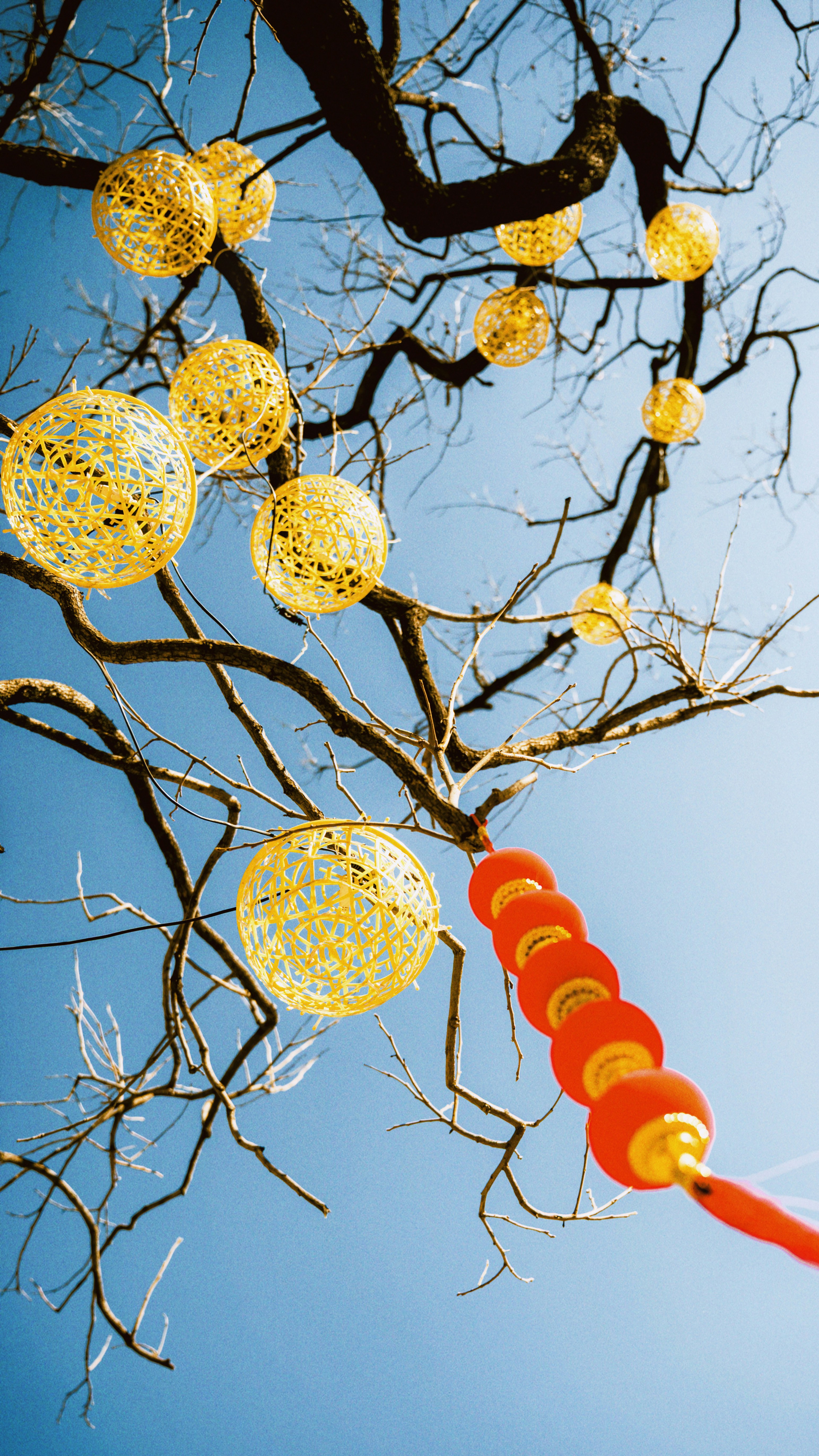 Photo by wangbinghua