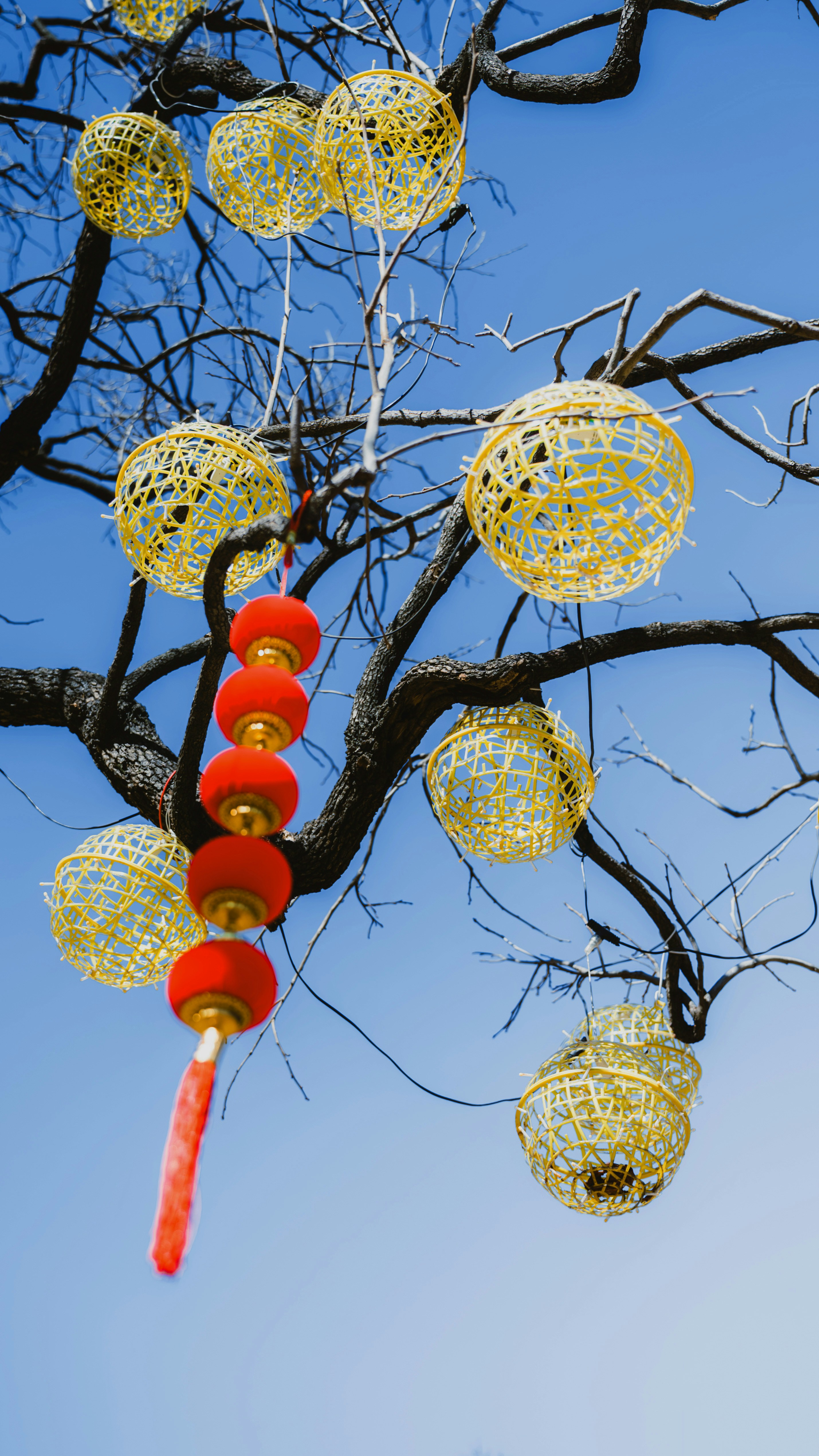 Photo by wangbinghua